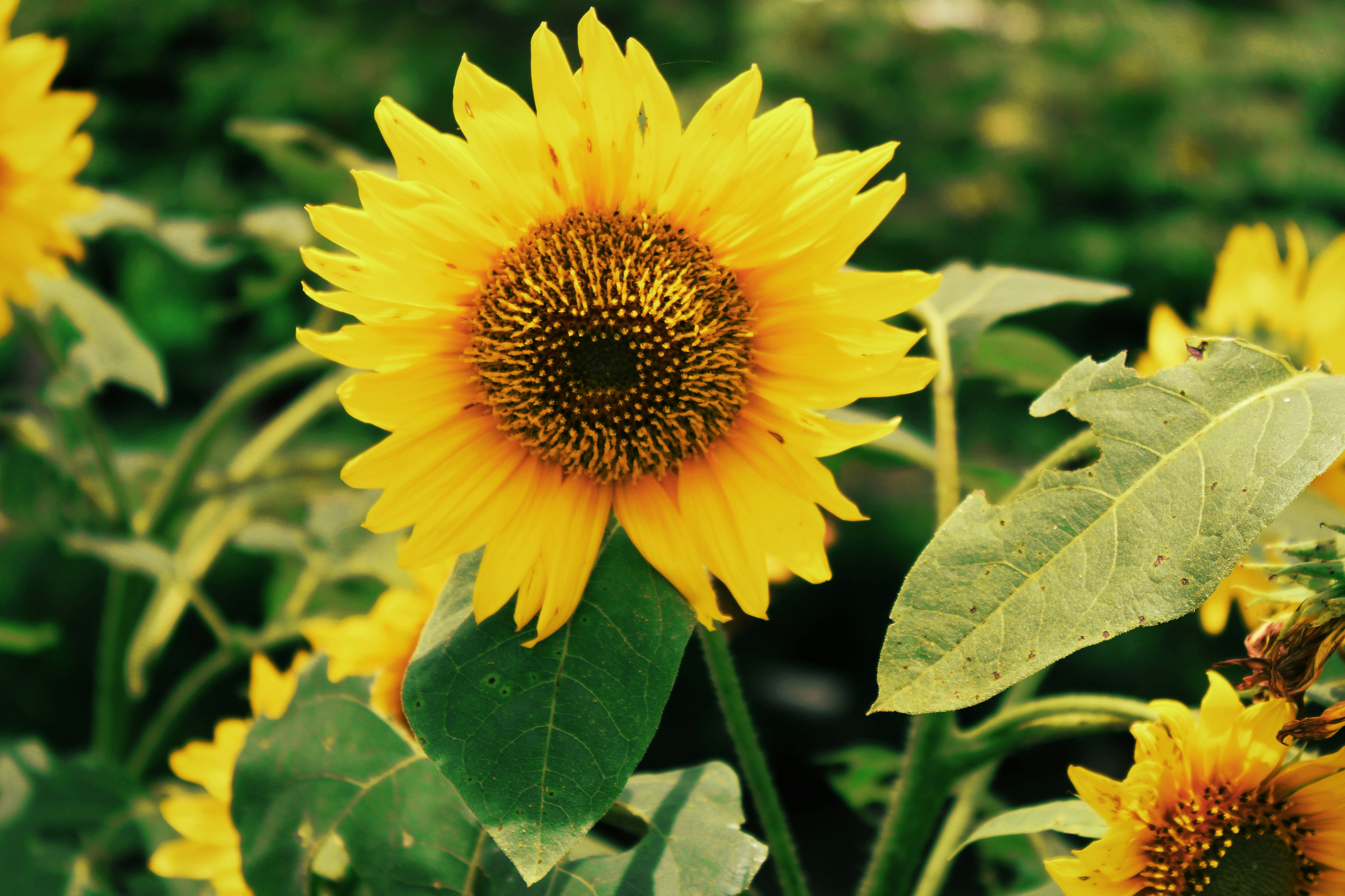 Photo by hajar_aswad