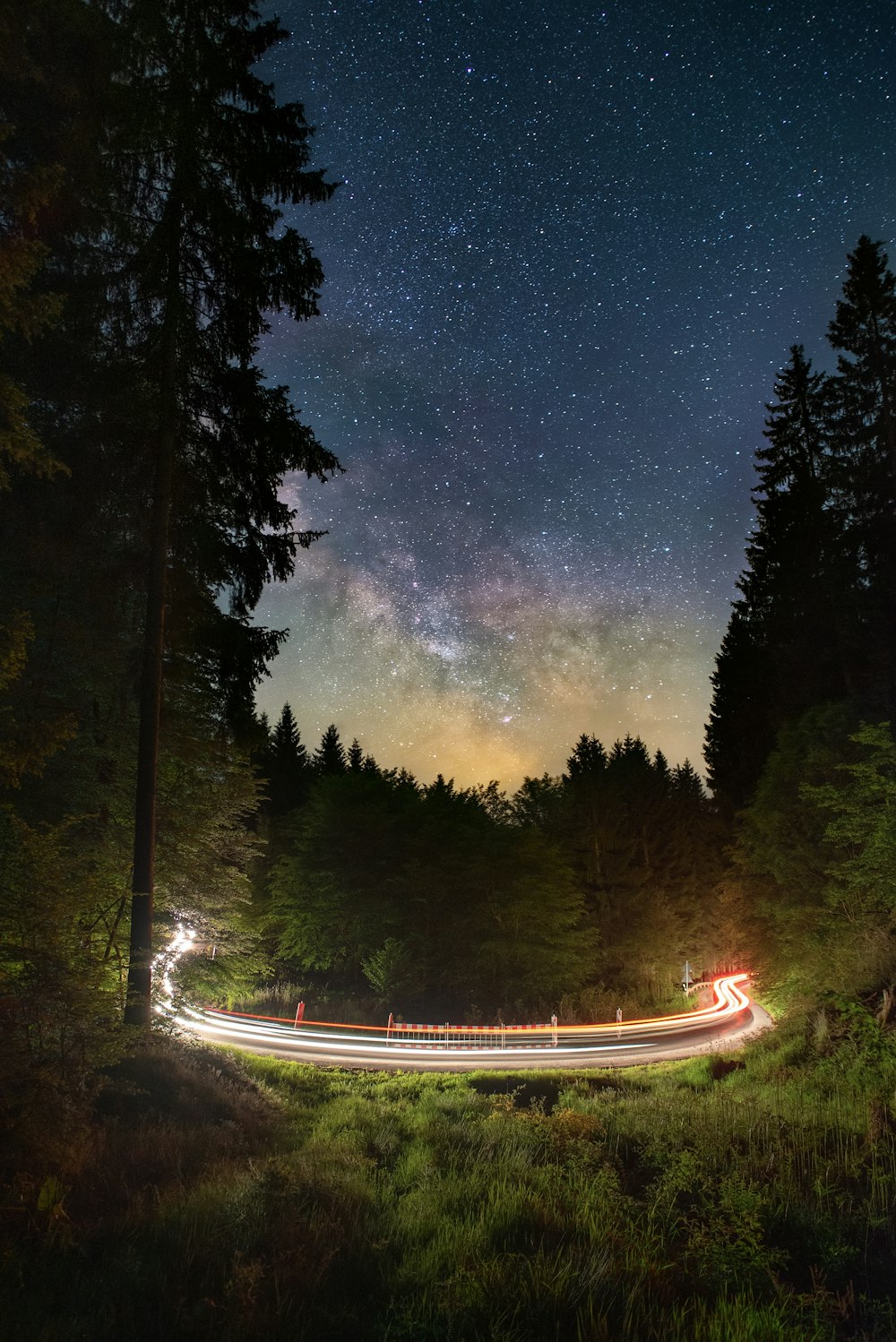 time lapse photography of road between trees during night time