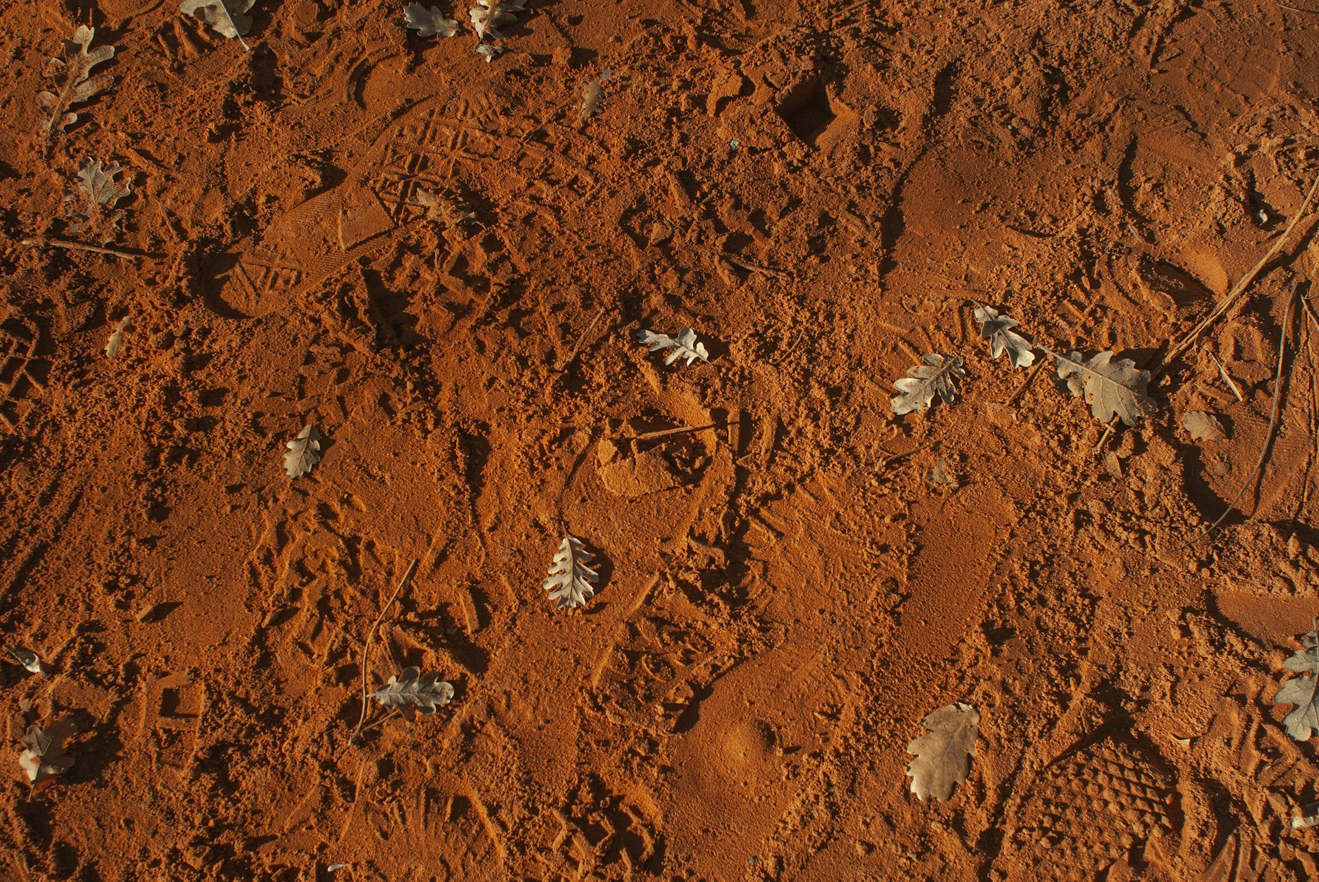 brown and gray rocks during daytime