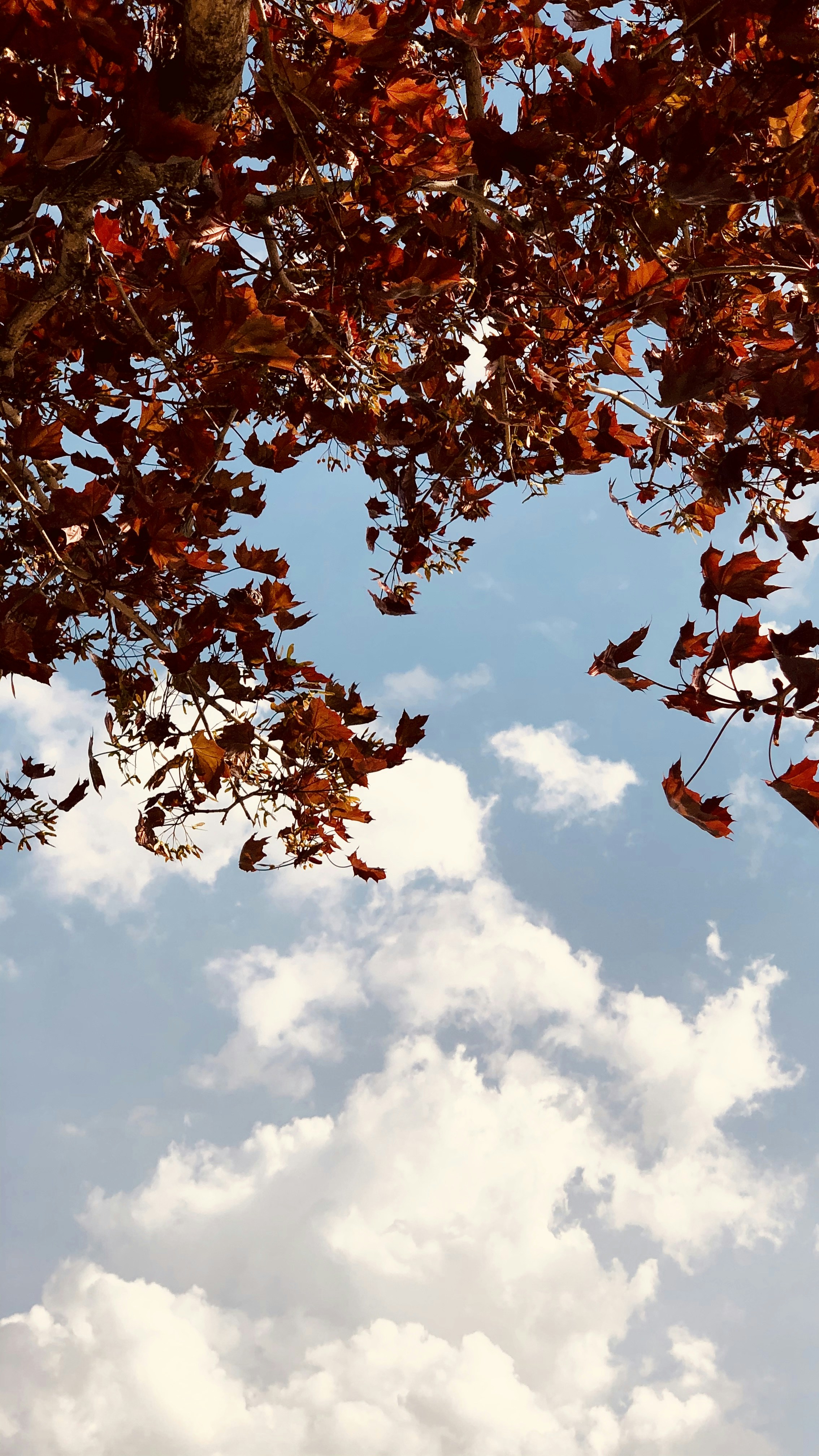 Photo by sangam_sharma