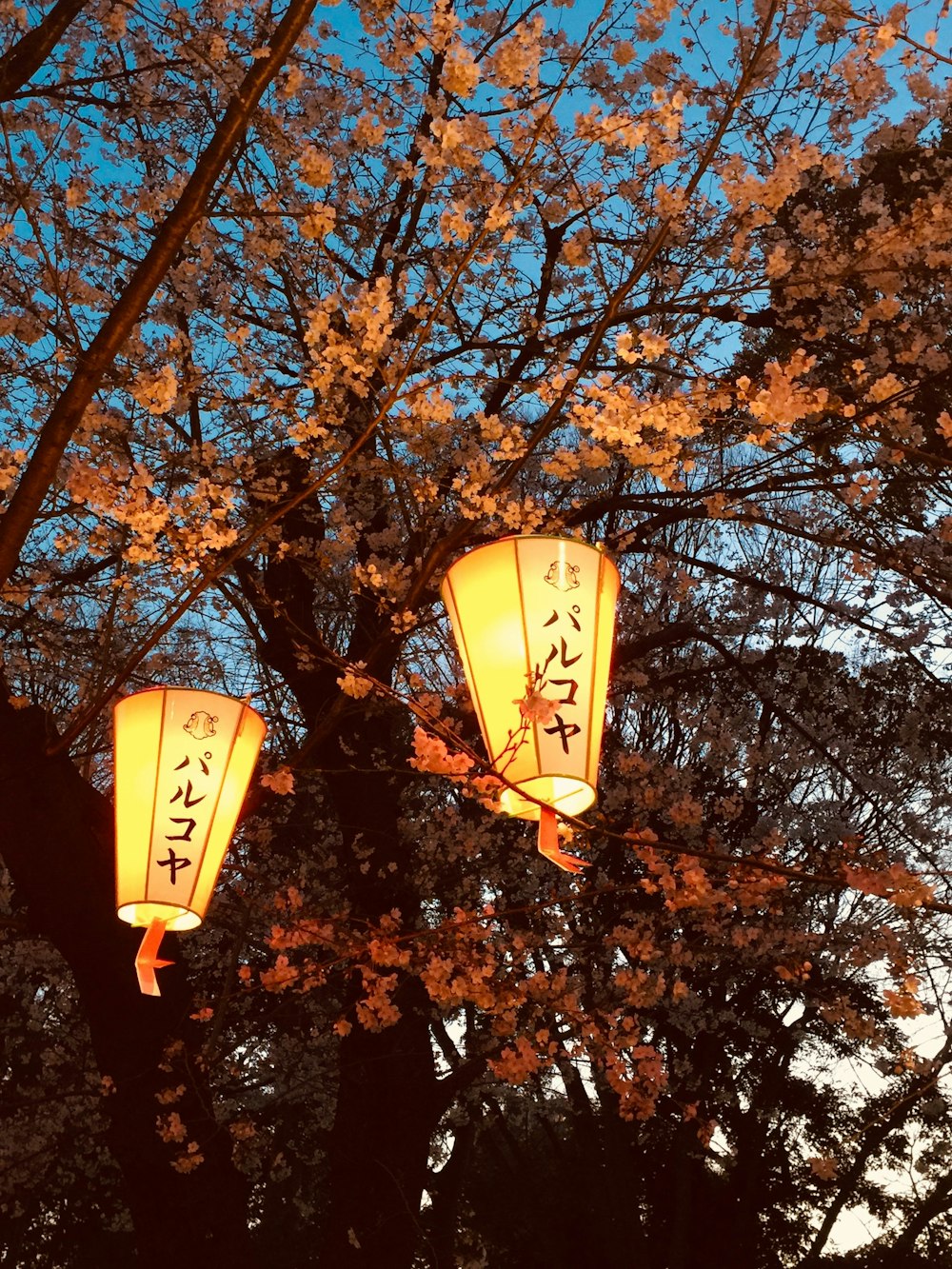 yellow street light near brown tree during daytime