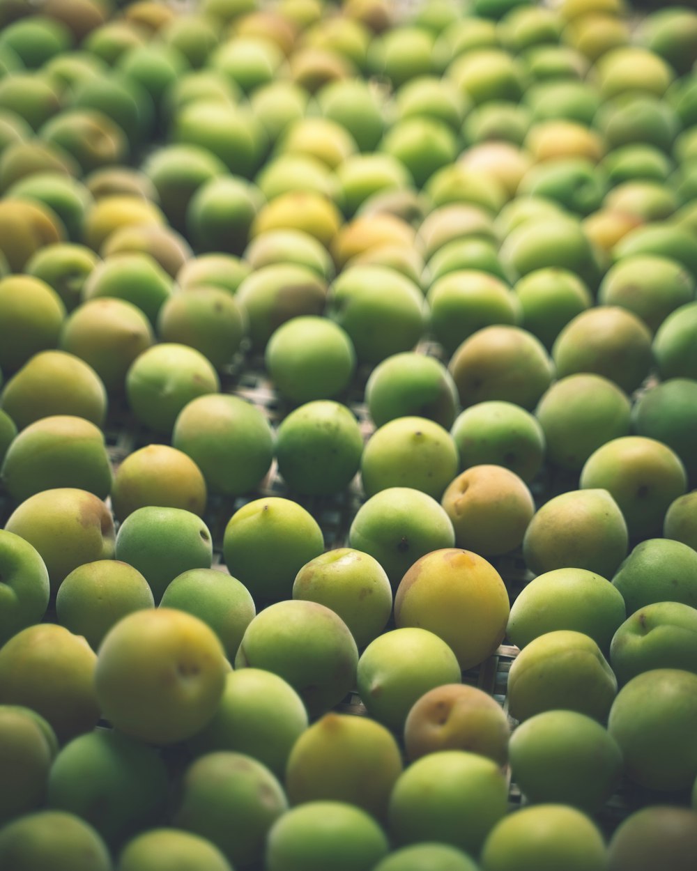 green round fruits in close up photography