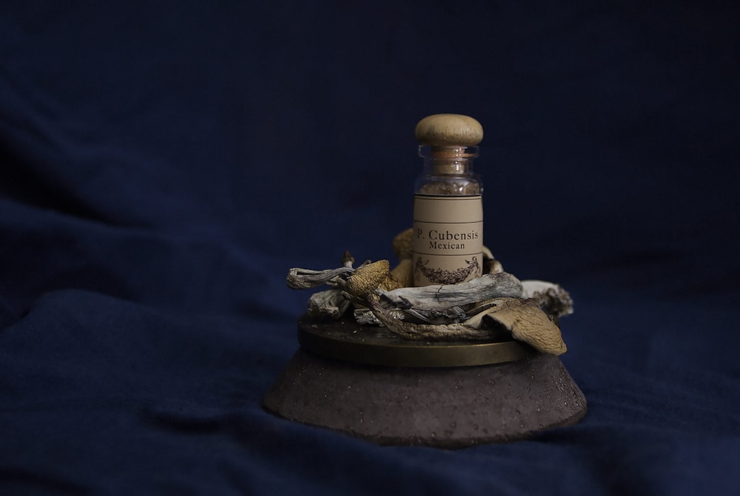 brown and black ceramic figurine, Psilocybe Cubensis - Pretty Drug Things is an art project on the perception of drugs a