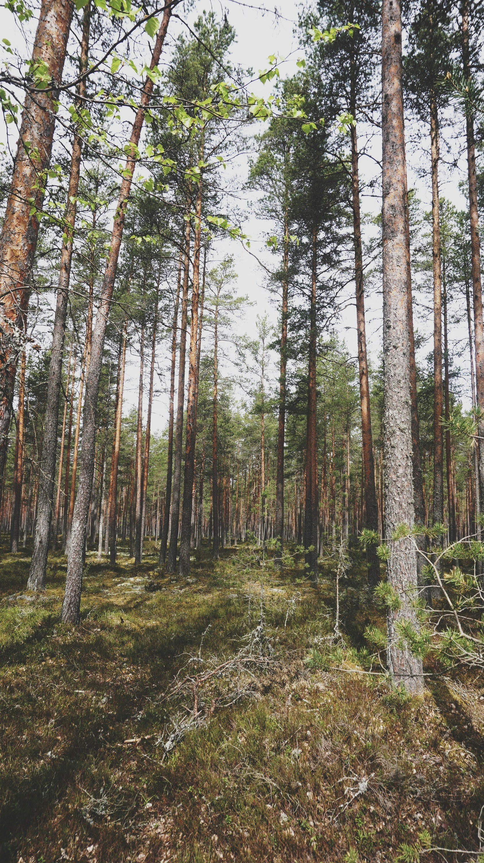 Photo by matheusfrade