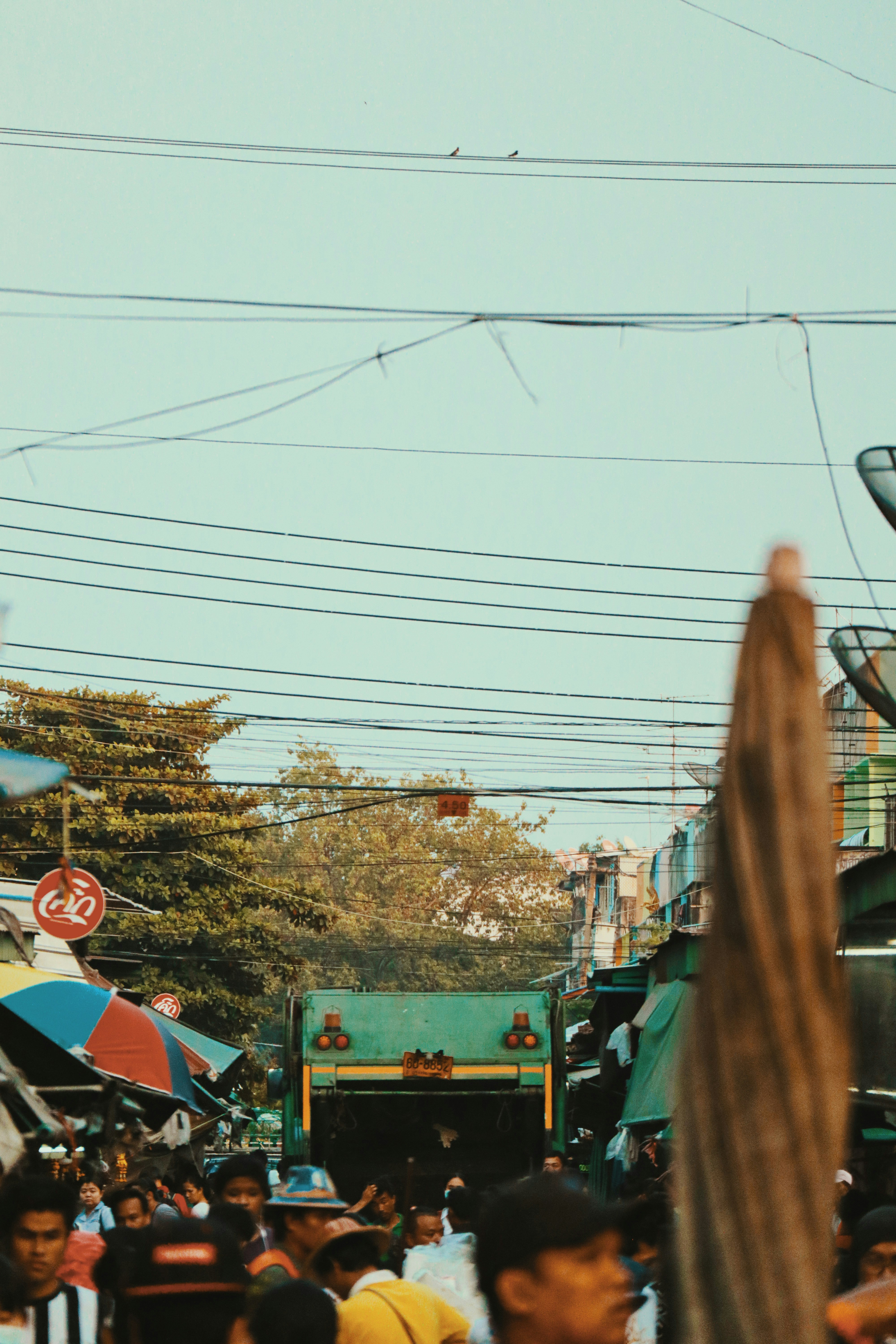 낮 동안 갈색 벌거 벗은 나무 근처의 녹색과 검은 색 트럭