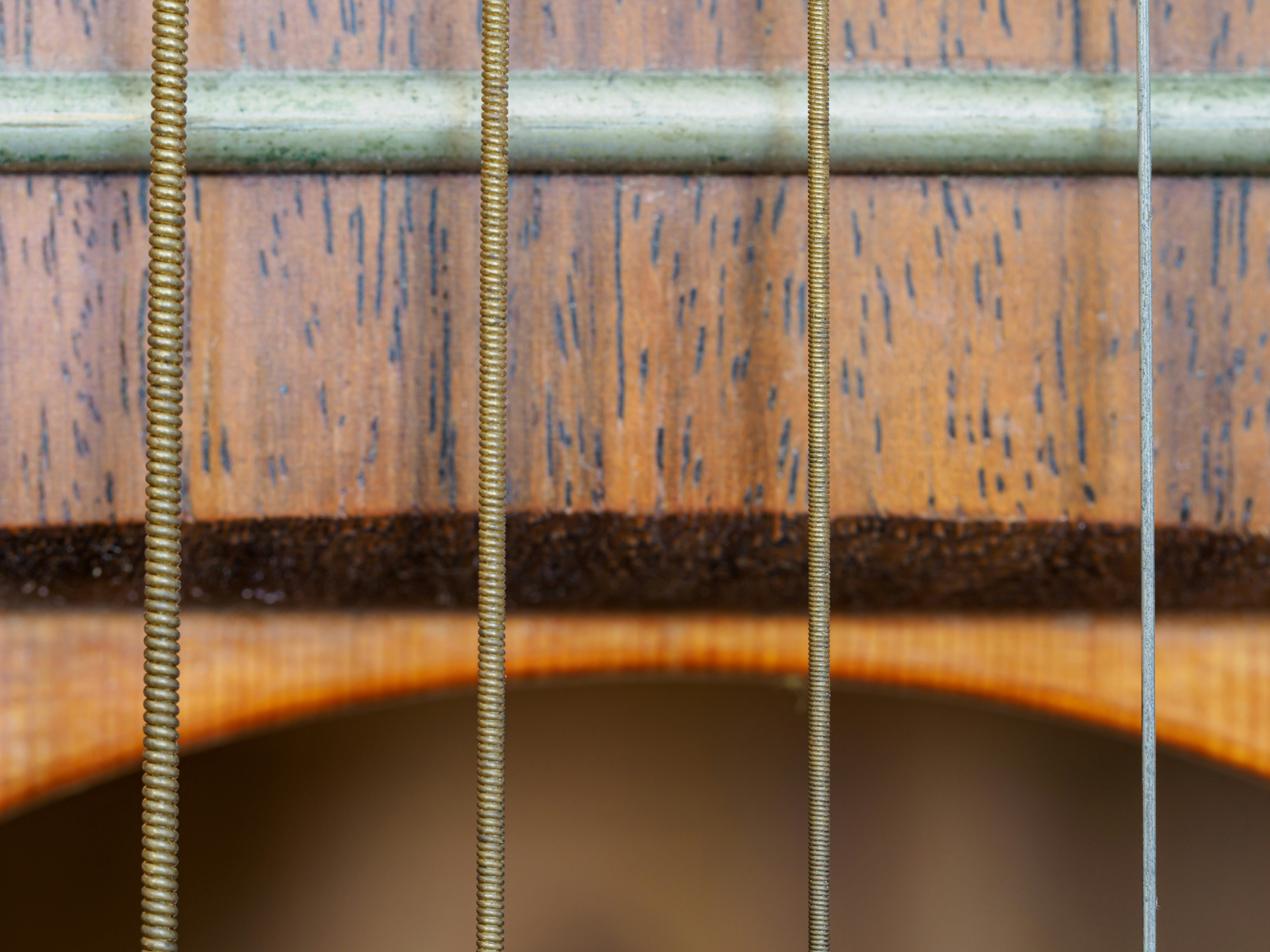 Photo by brett_jordan