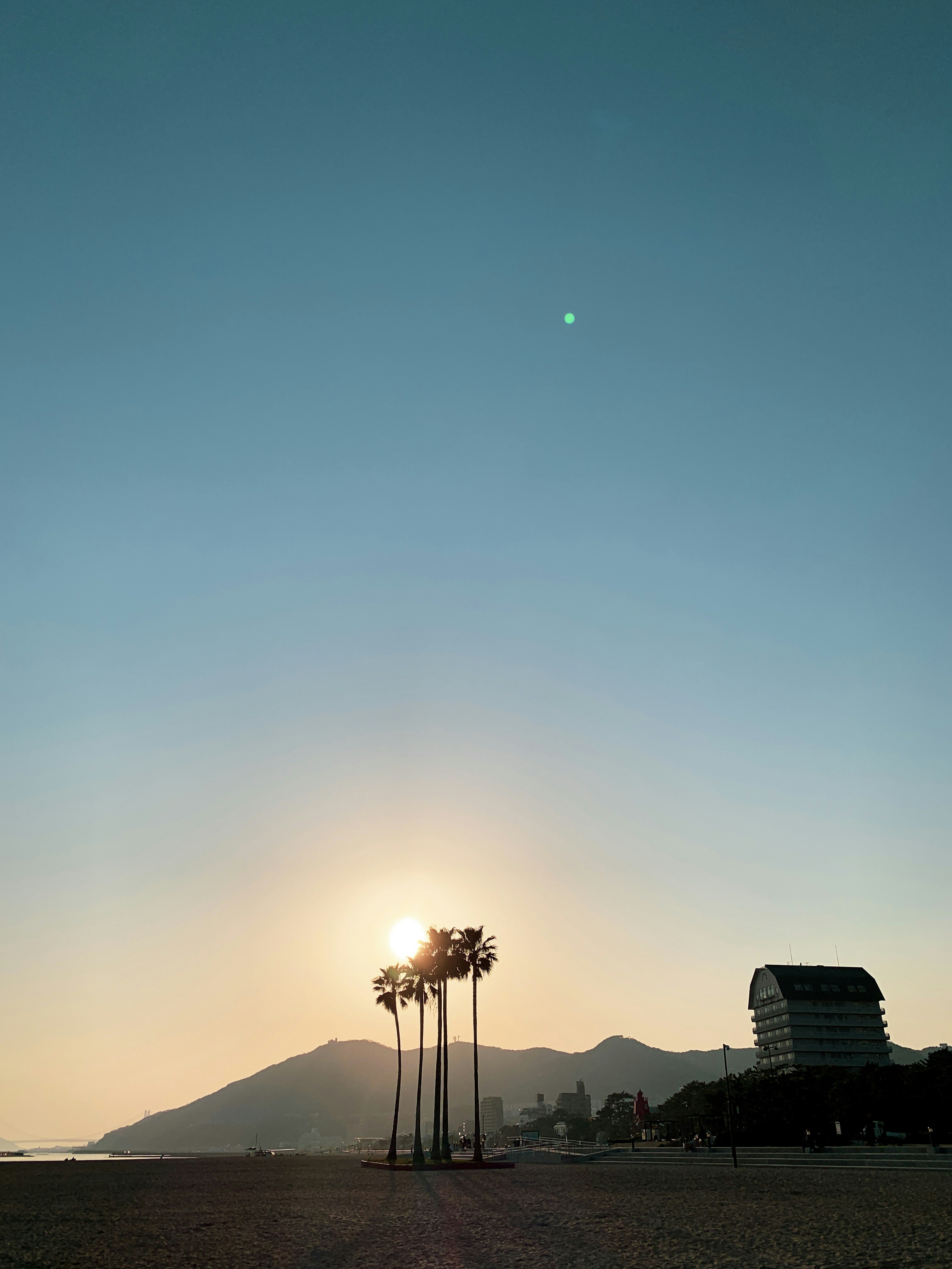 夜間の木々や建物のシルエット