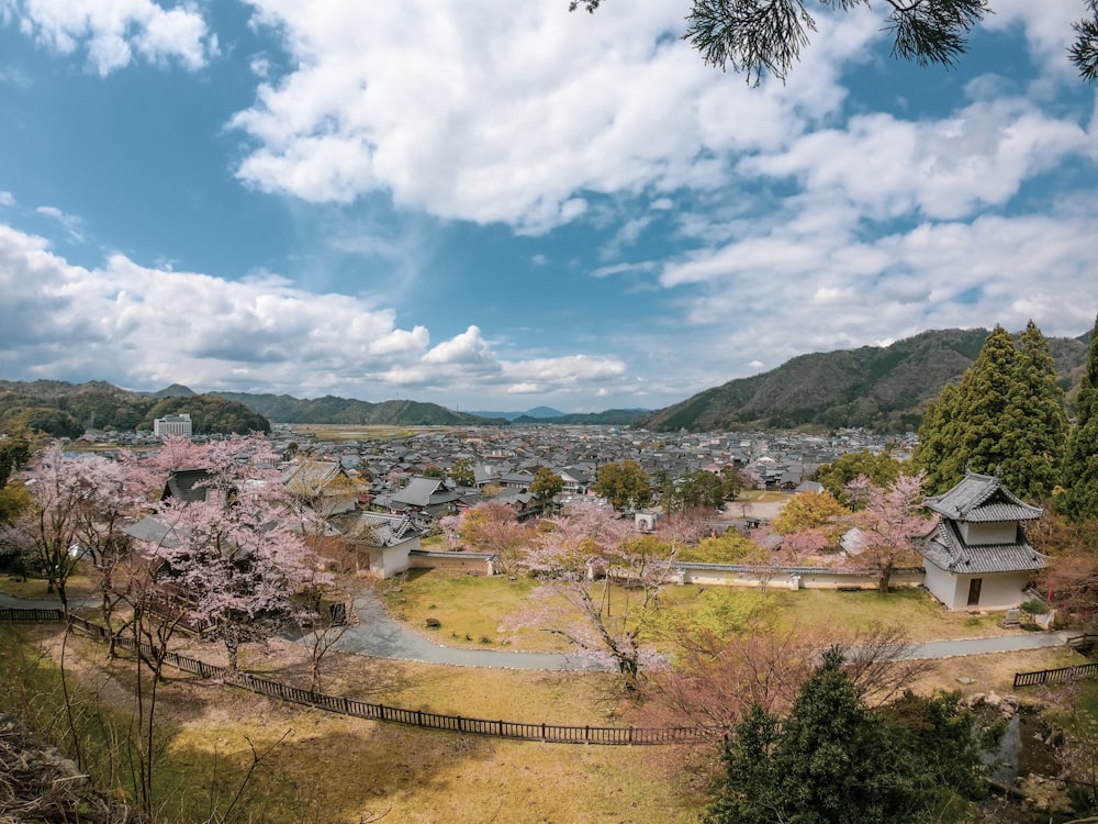 green trees and brown mountains under blue sky and white clouds during daytime