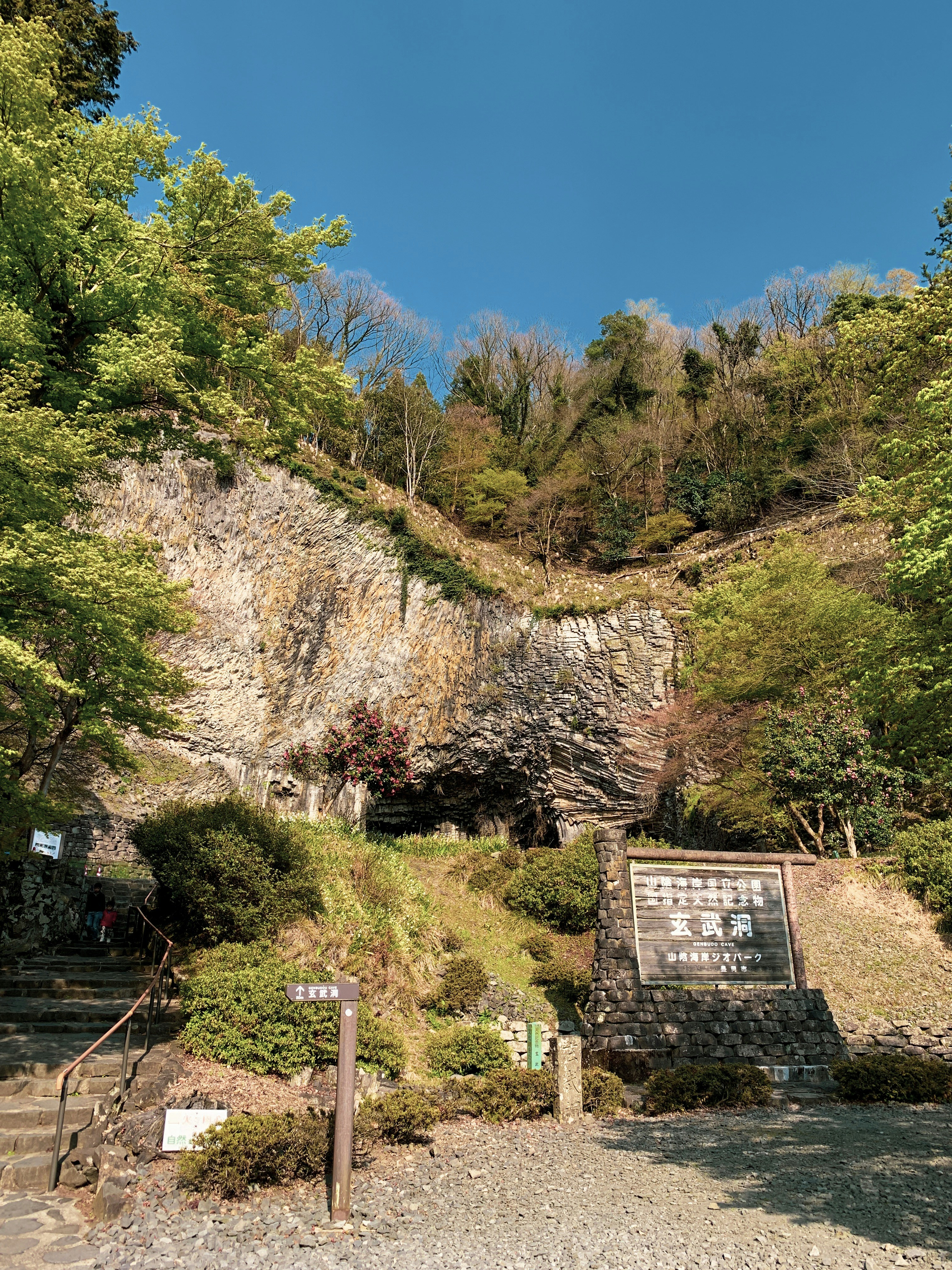 昼間の青空の下、茶色の山の緑の木々