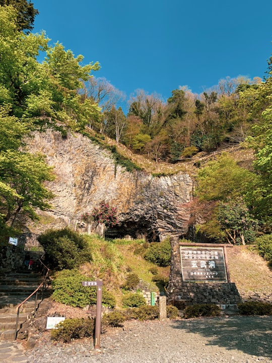 green trees on brown mountain under blue sky during daytime in Toyooka Japan