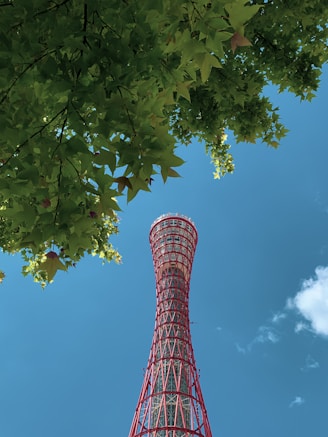 green and brown tree under blue sky during daytime