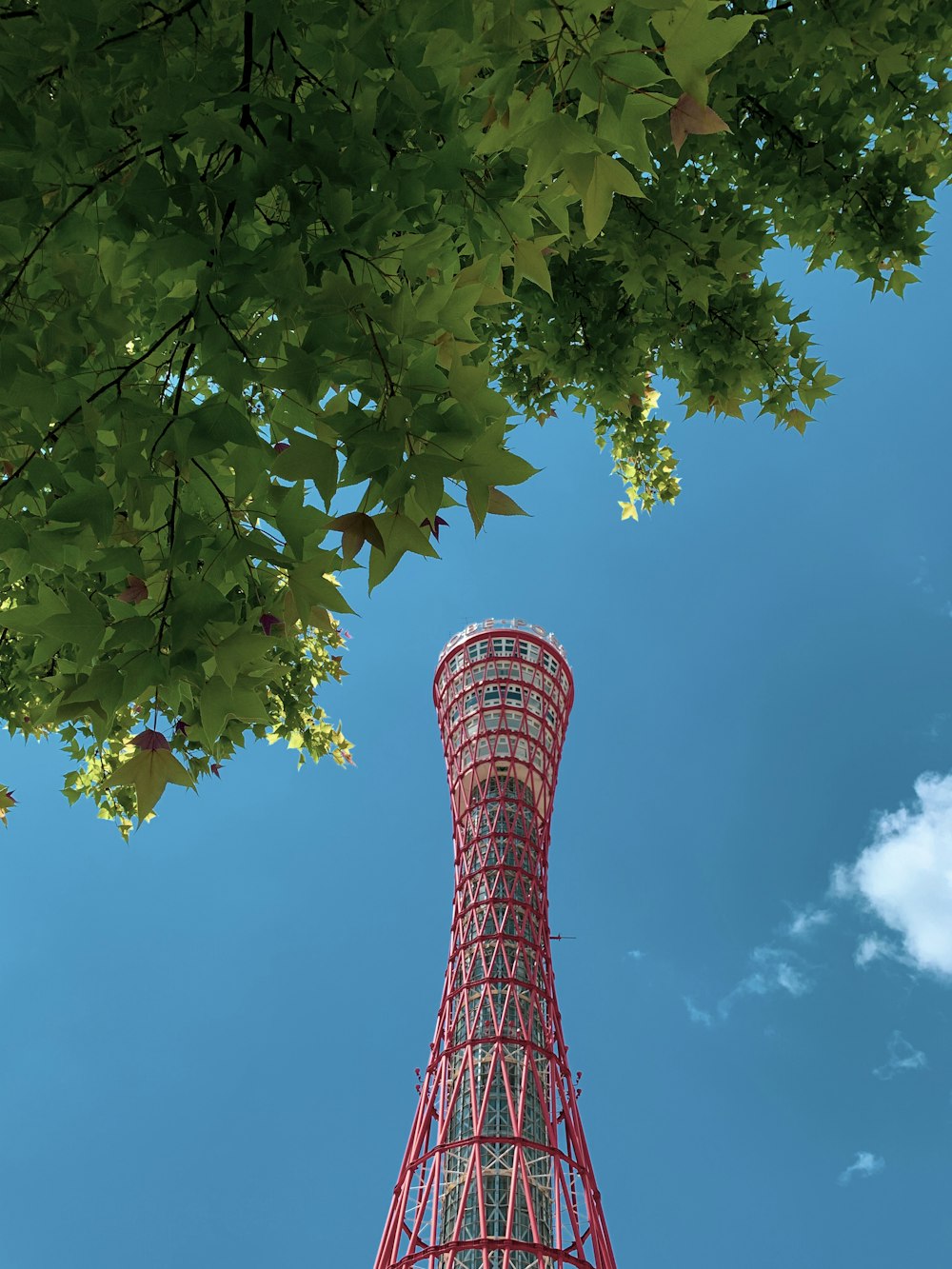 green and brown tree under blue sky during daytime