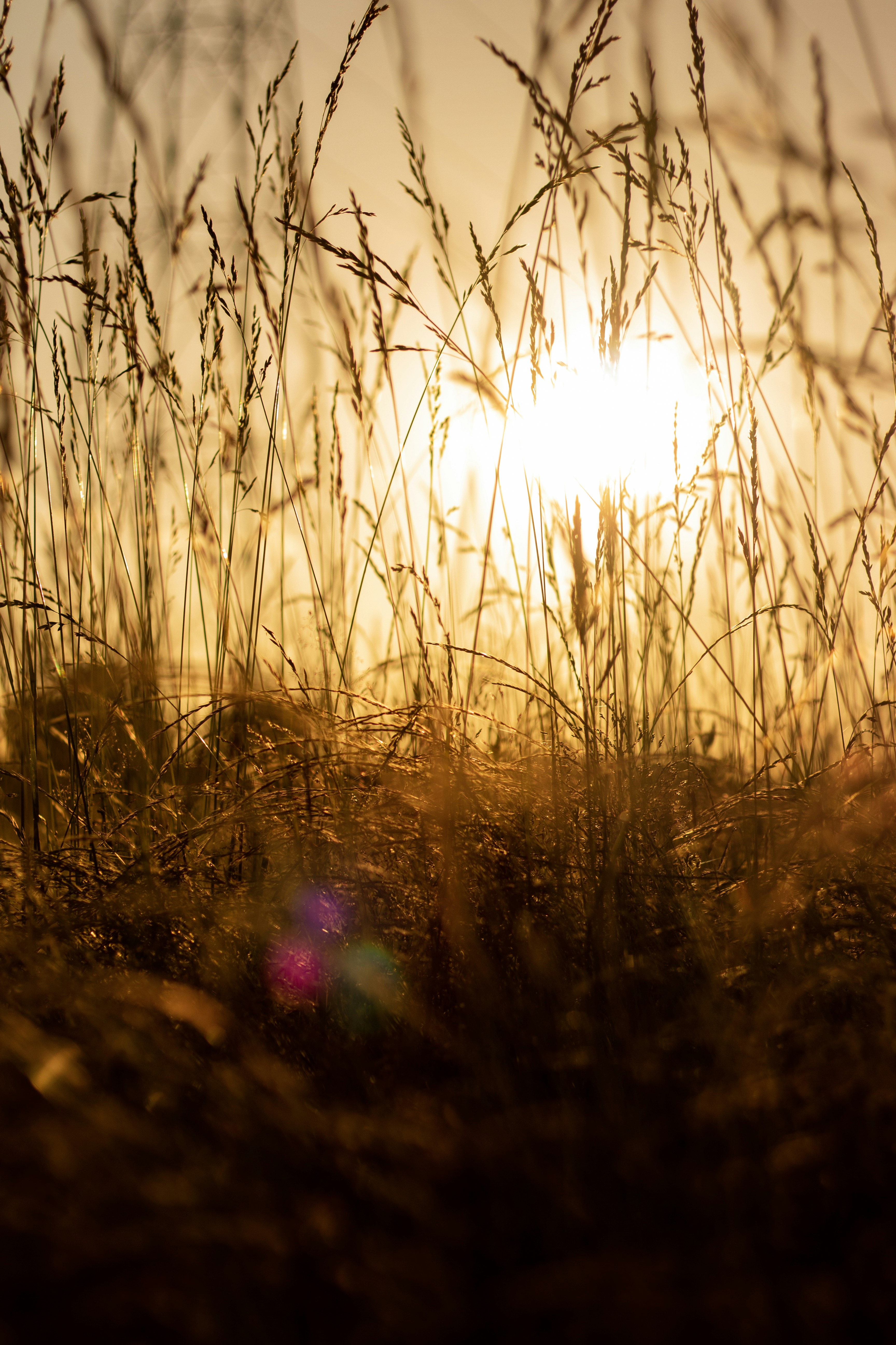 Photo by tom_bressolles