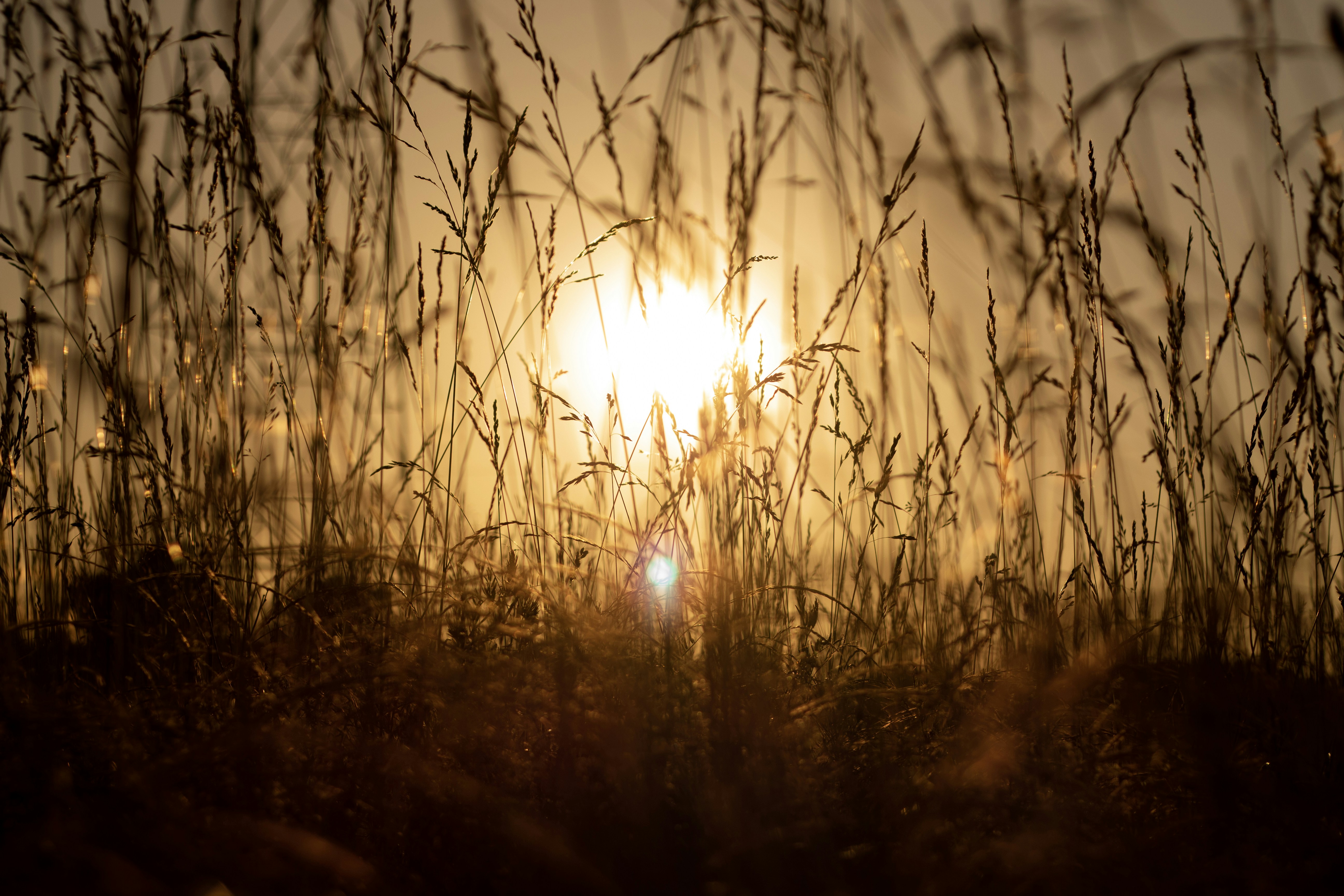 Photo by tom_bressolles