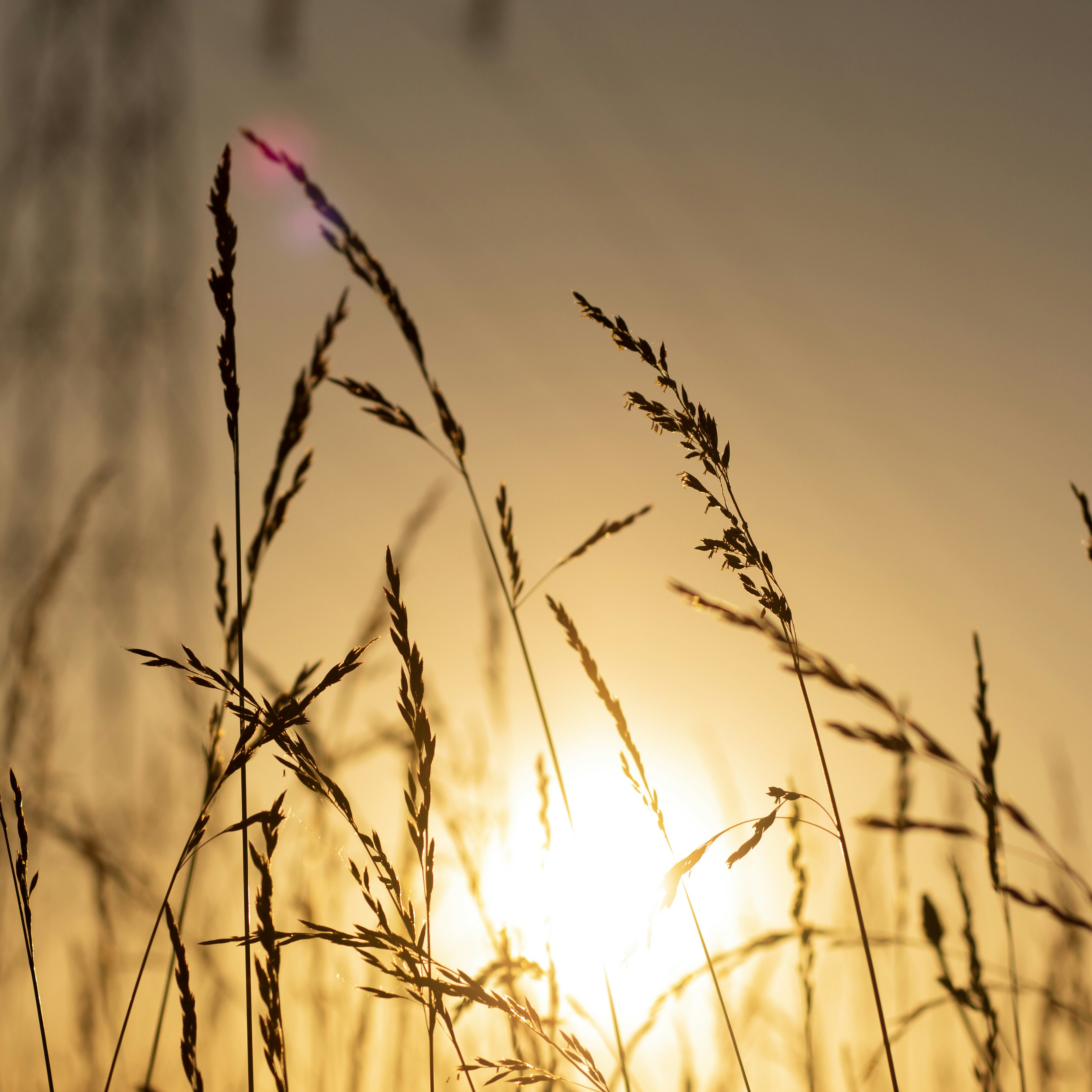 Photo by tom_bressolles