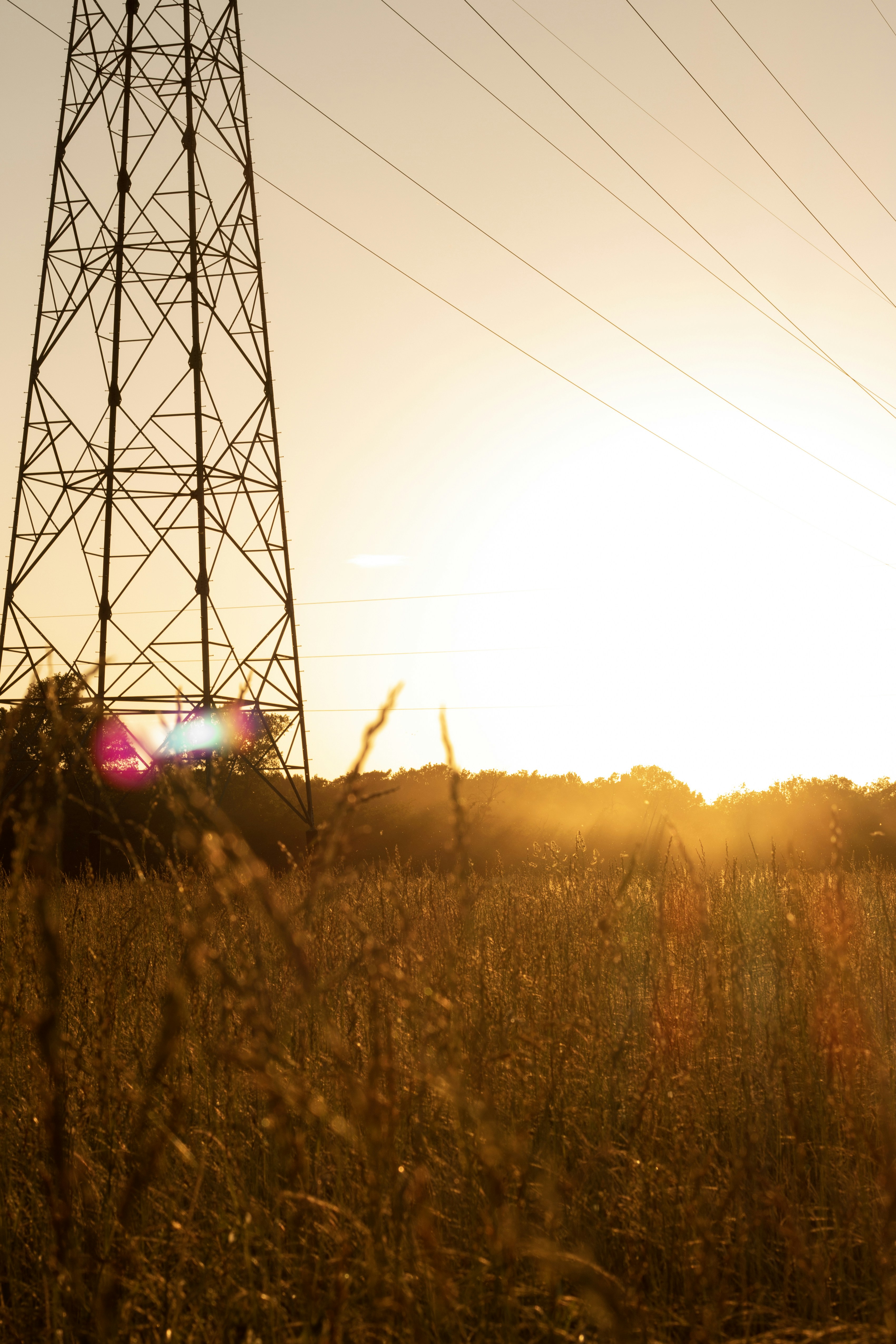 Photo by tom_bressolles