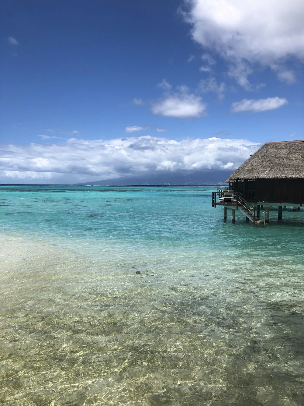 brown wooden house on sea shore during daytime