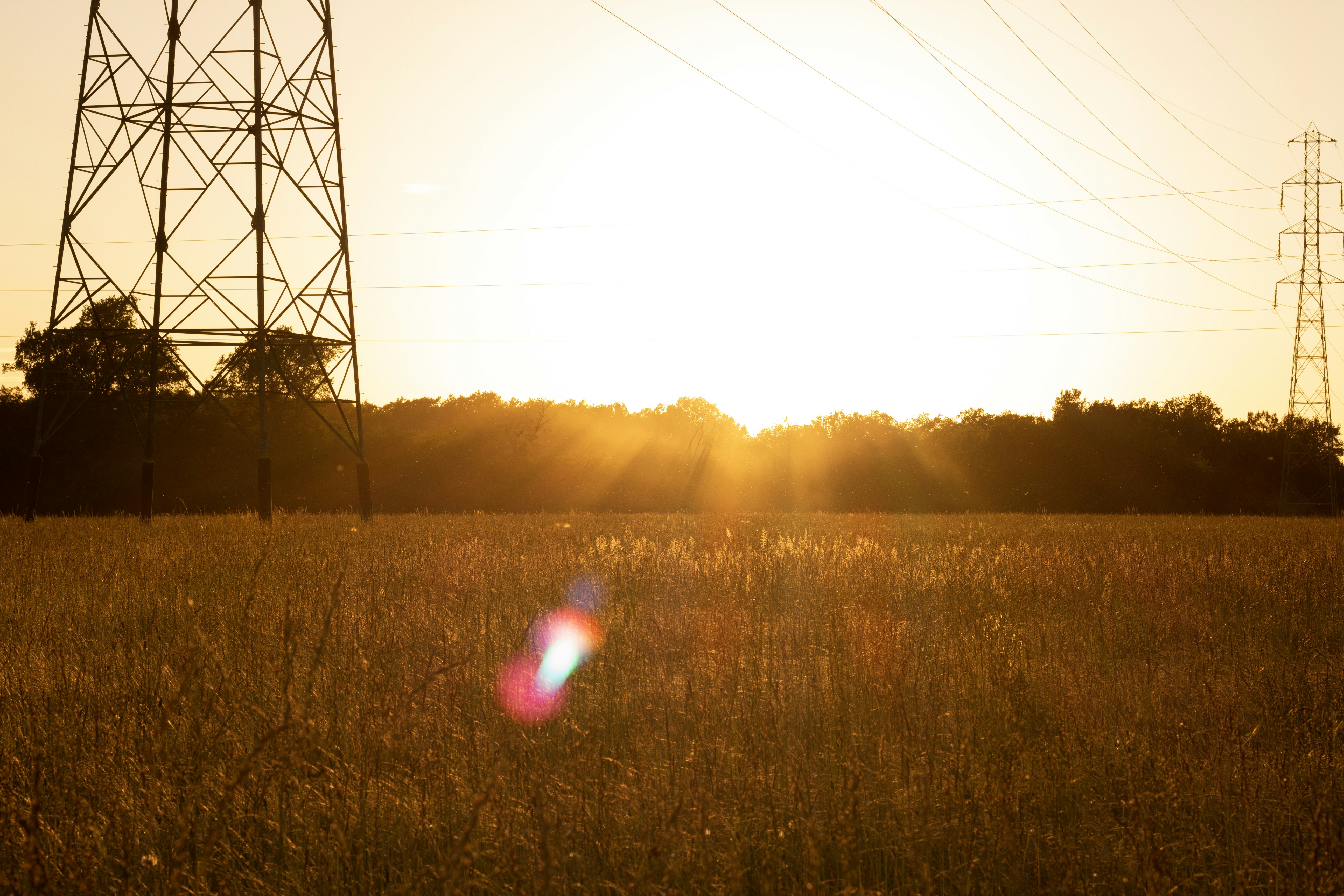 Photo by tom_bressolles