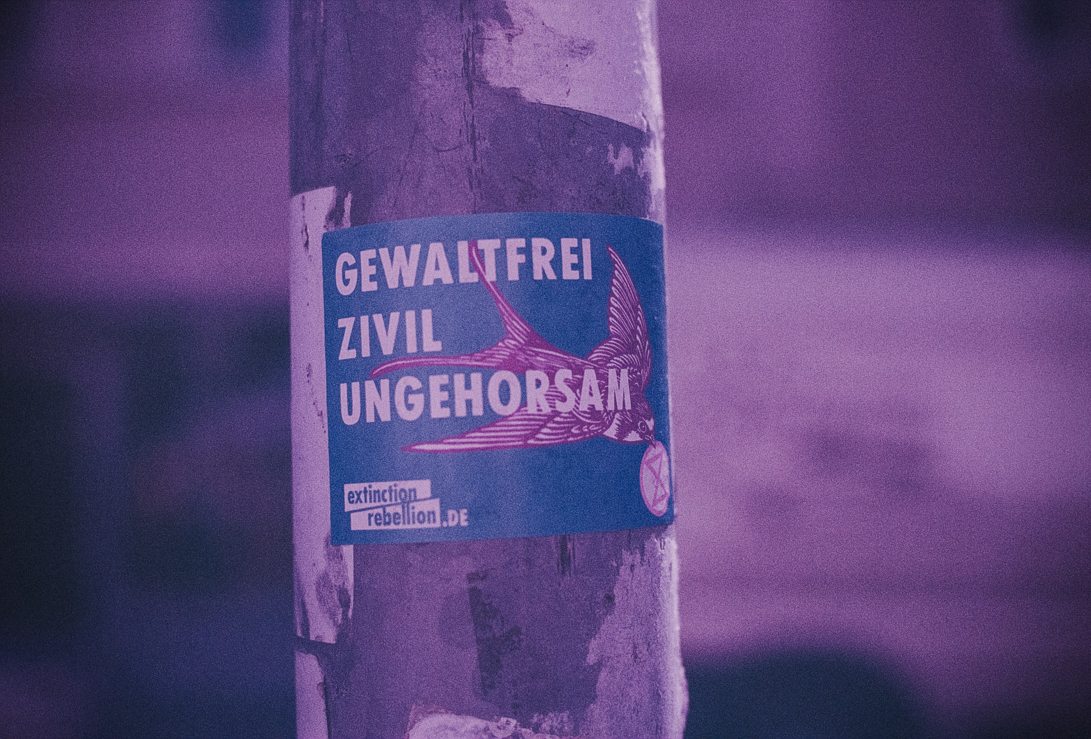 GEWALTFREI ZIVIL UNGEHORSAM – Urban street art sticker. Made with Leica R7 (Year: 1994) and Leica Summicron-R 2.0 35mm (Year: 1978). Analog scan via nimmfilm.de: Fuji Frontier SP-3000. Film reel: Kodak Ektarchrome E100 SW (expired 2001)