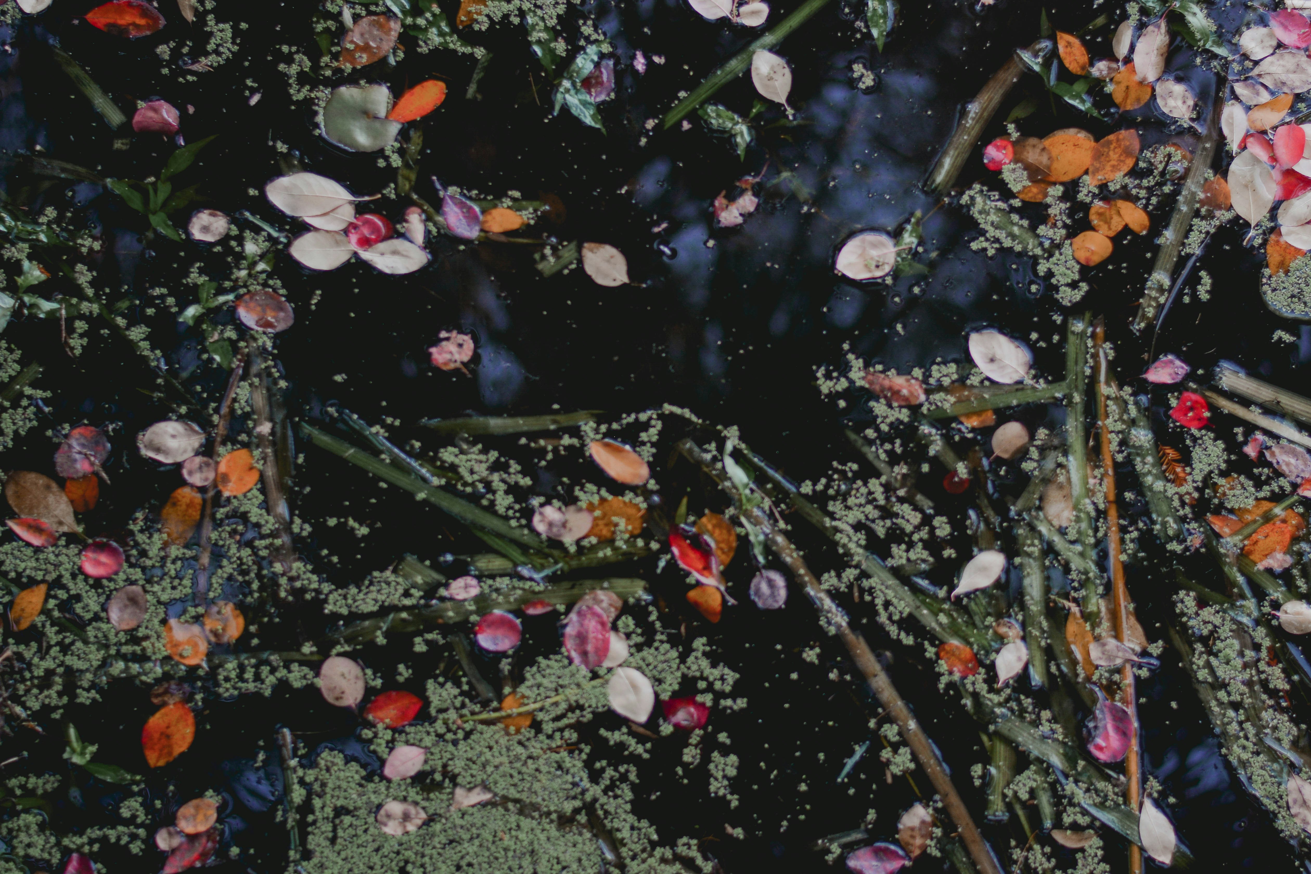 Photo by contentpixie