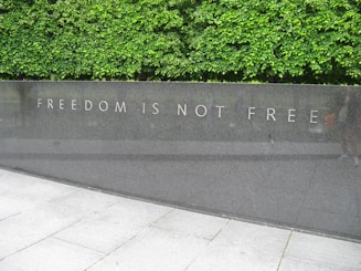 green plants beside gray concrete wall