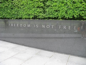 green plants beside gray concrete wall