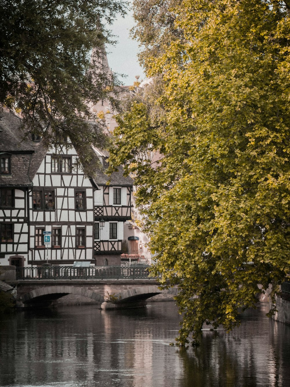 Bâtiment en béton blanc et noir près des arbres verts et de la rivière pendant la journée