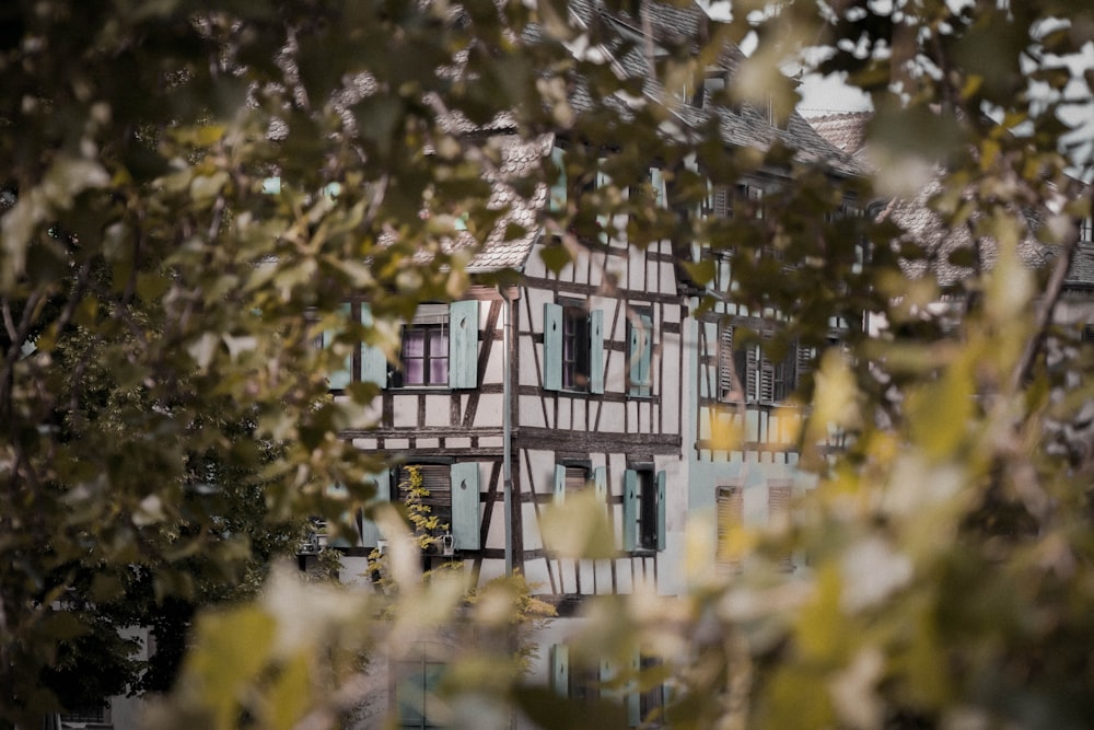 edificio in cemento bianco vicino agli alberi verdi durante il giorno