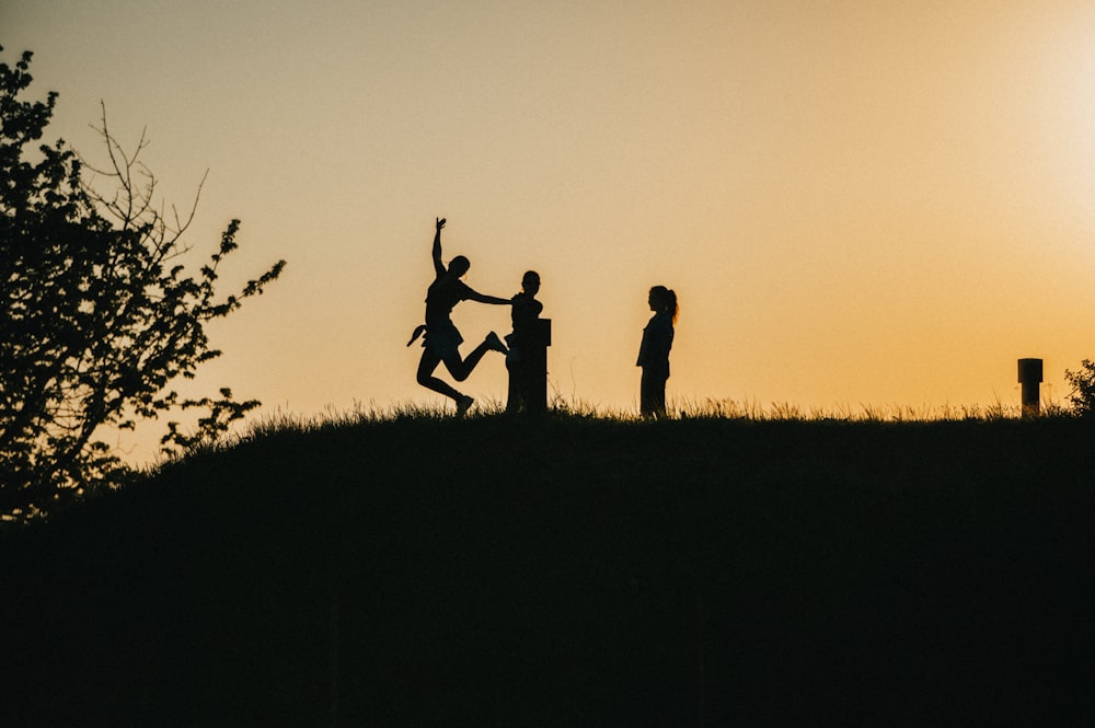 silhouette of 2 person standing on grass field during sunset