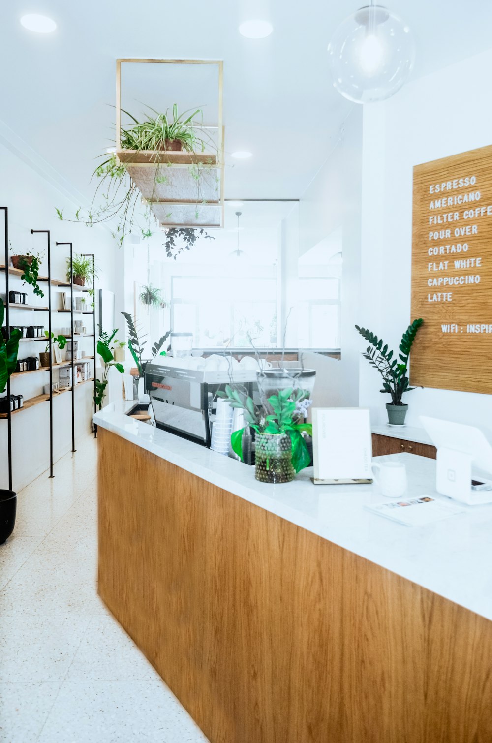 green potted plant on white table