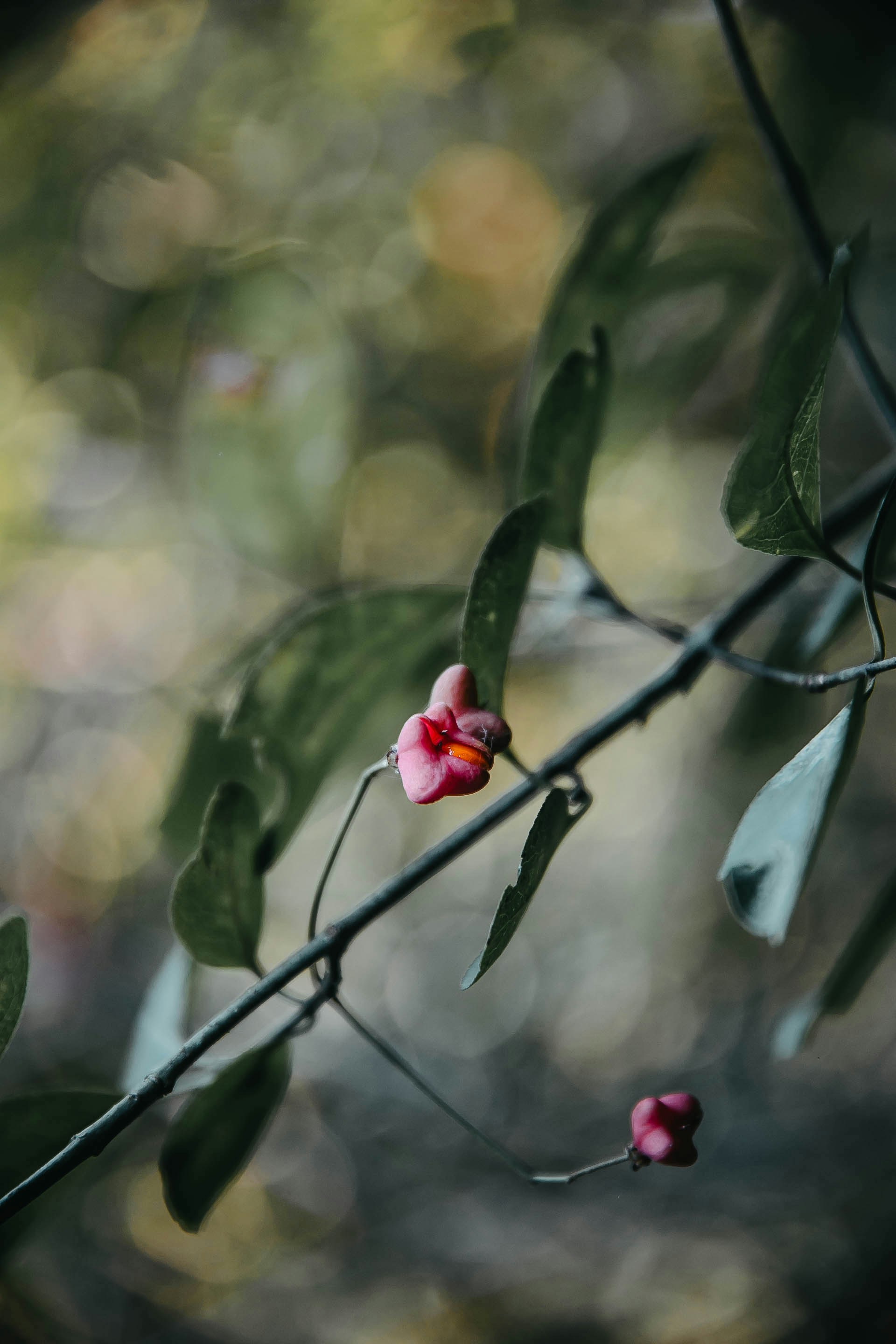 Photo by anna_safronova