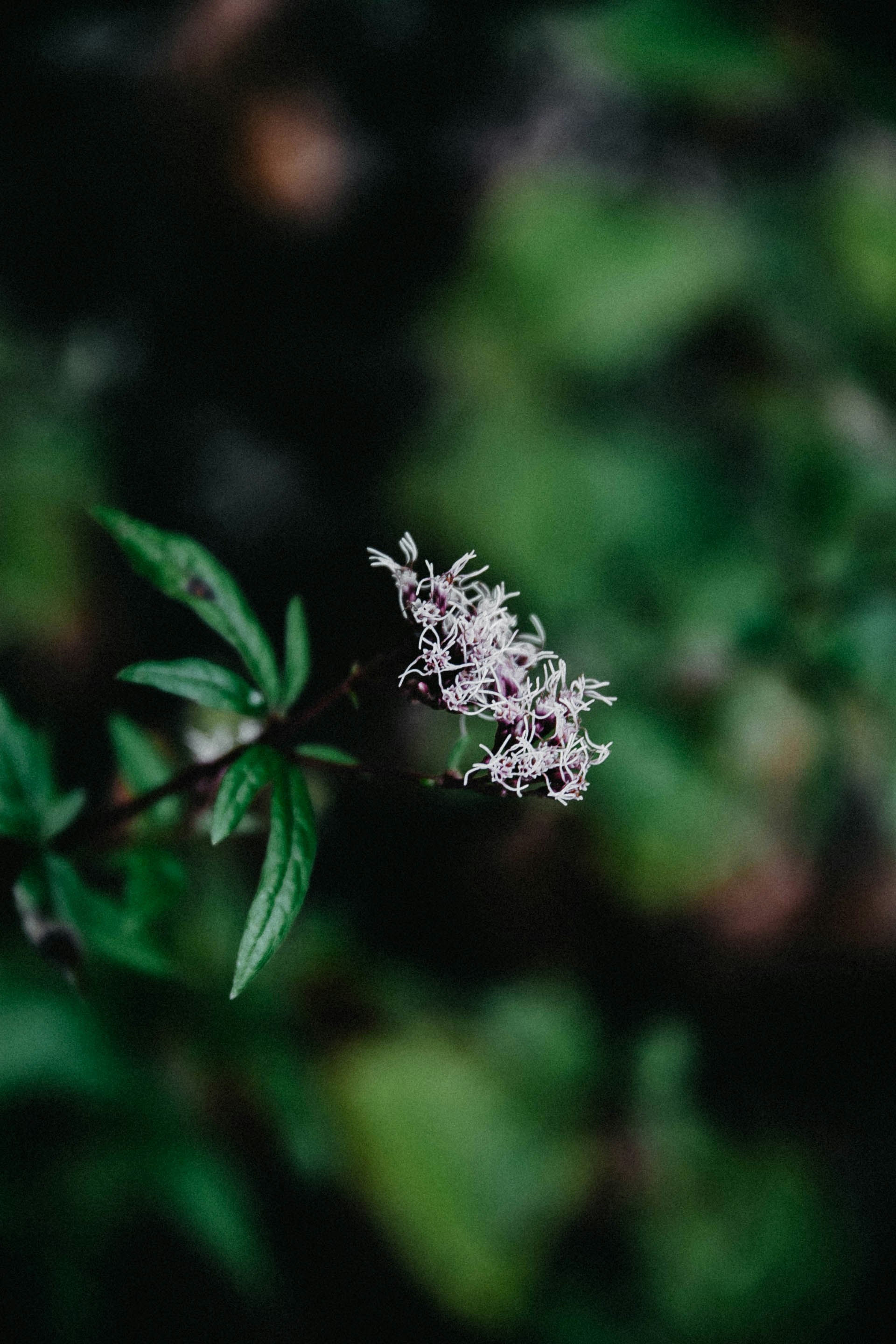 Photo by anna_safronova