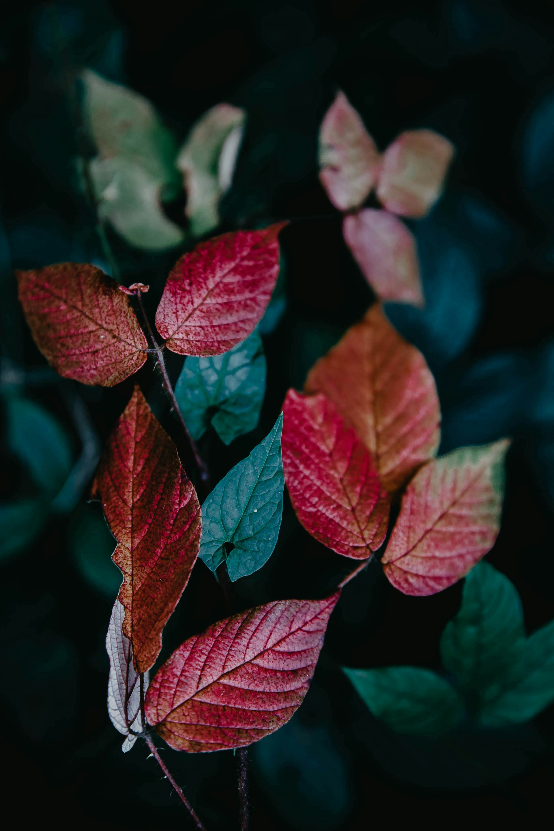 Photo by anna_safronova