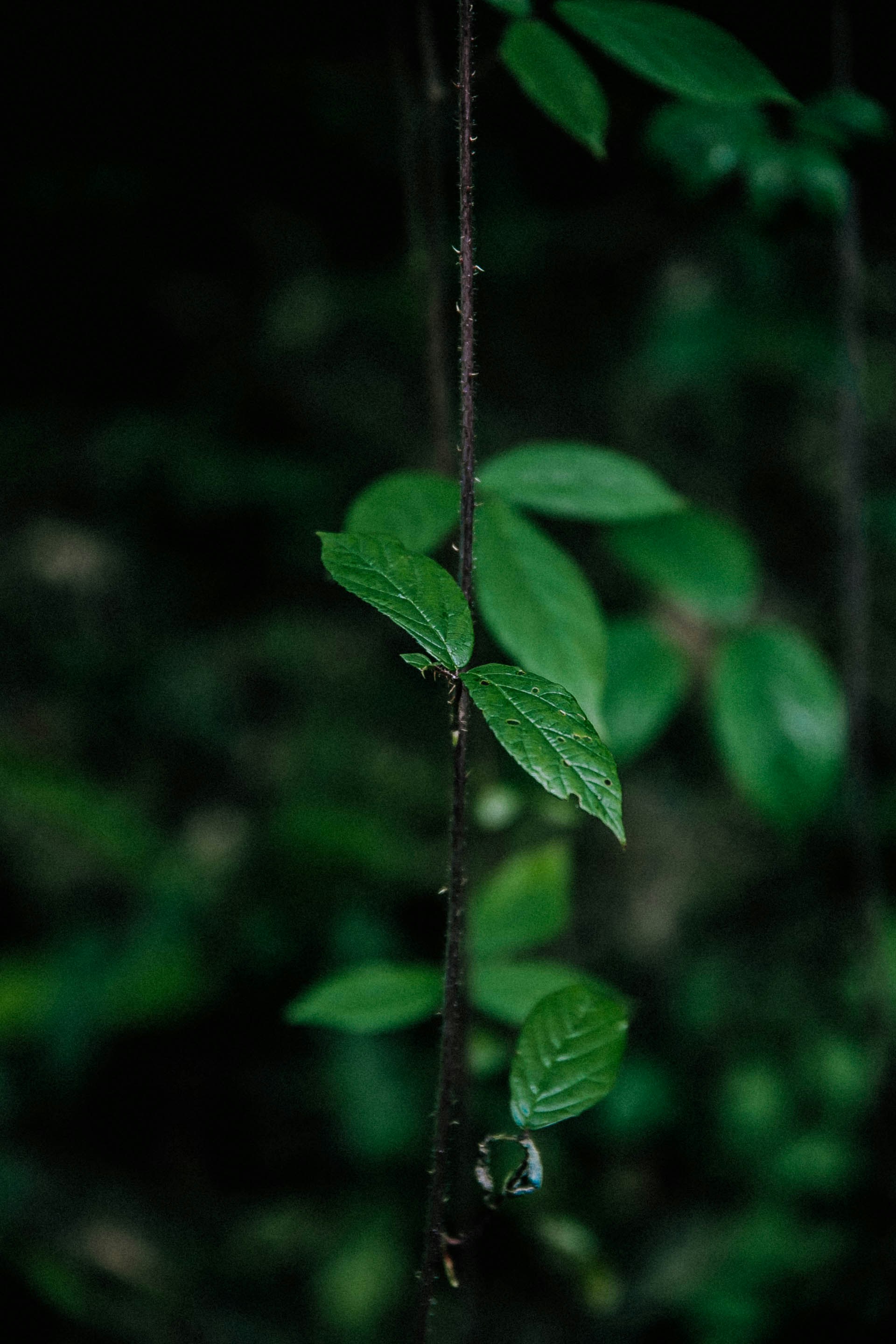 Photo by anna_safronova