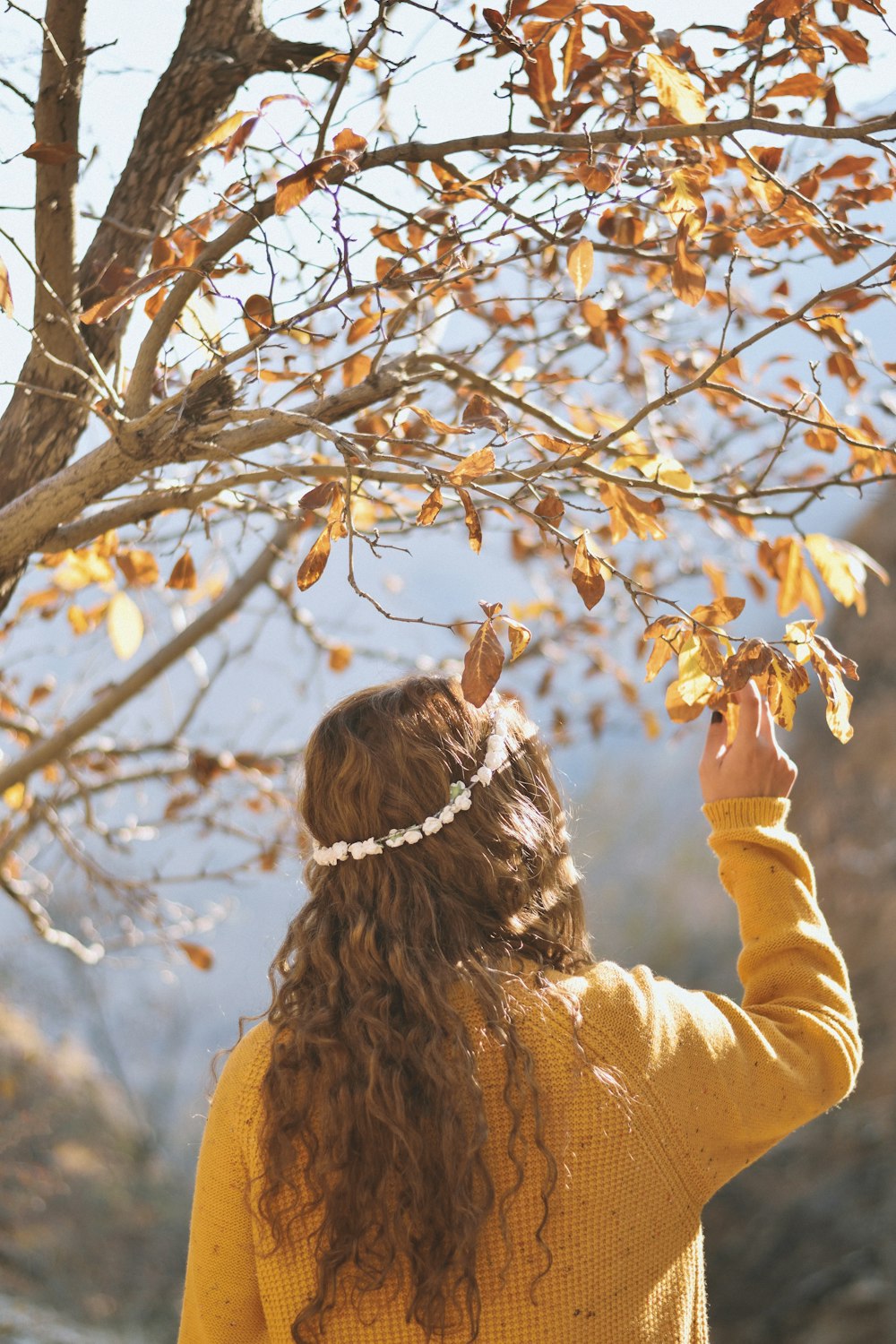 woman in brown sweater holding brown tree branch during daytime