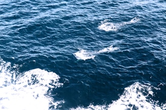 Deep blue ocean water with visible waves and whitecaps creating a textured surface. The waves are uniformly spread across the body of water, indicating a steady motion.
