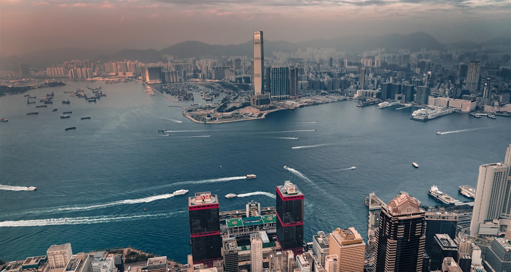 aerial view of city buildings near body of water during daytime