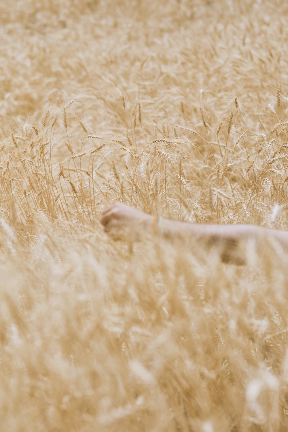 persons left foot on brown grass field