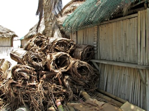 A stack of dried palm leaves is piled up against the side of a bamboo structure with a thatched roof. The leaves are rolled and bundled tightly. The structure appears rustic, made of sturdy bamboo slats, with a netting material partially covering the roof.