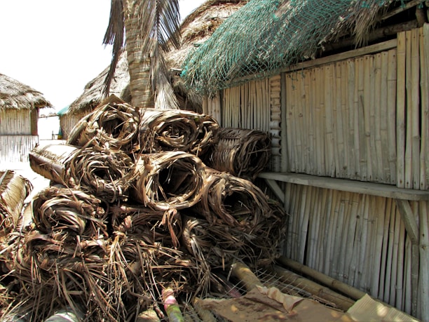 A stack of dried palm leaves is piled up against the side of a bamboo structure with a thatched roof. The leaves are rolled and bundled tightly. The structure appears rustic, made of sturdy bamboo slats, with a netting material partially covering the roof.