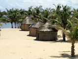 Several straw huts are situated on a sandy beach surrounded by palm trees, with the ocean visible in the background. The scene appears tropical and serene, suggesting a rustic and natural beach setting.