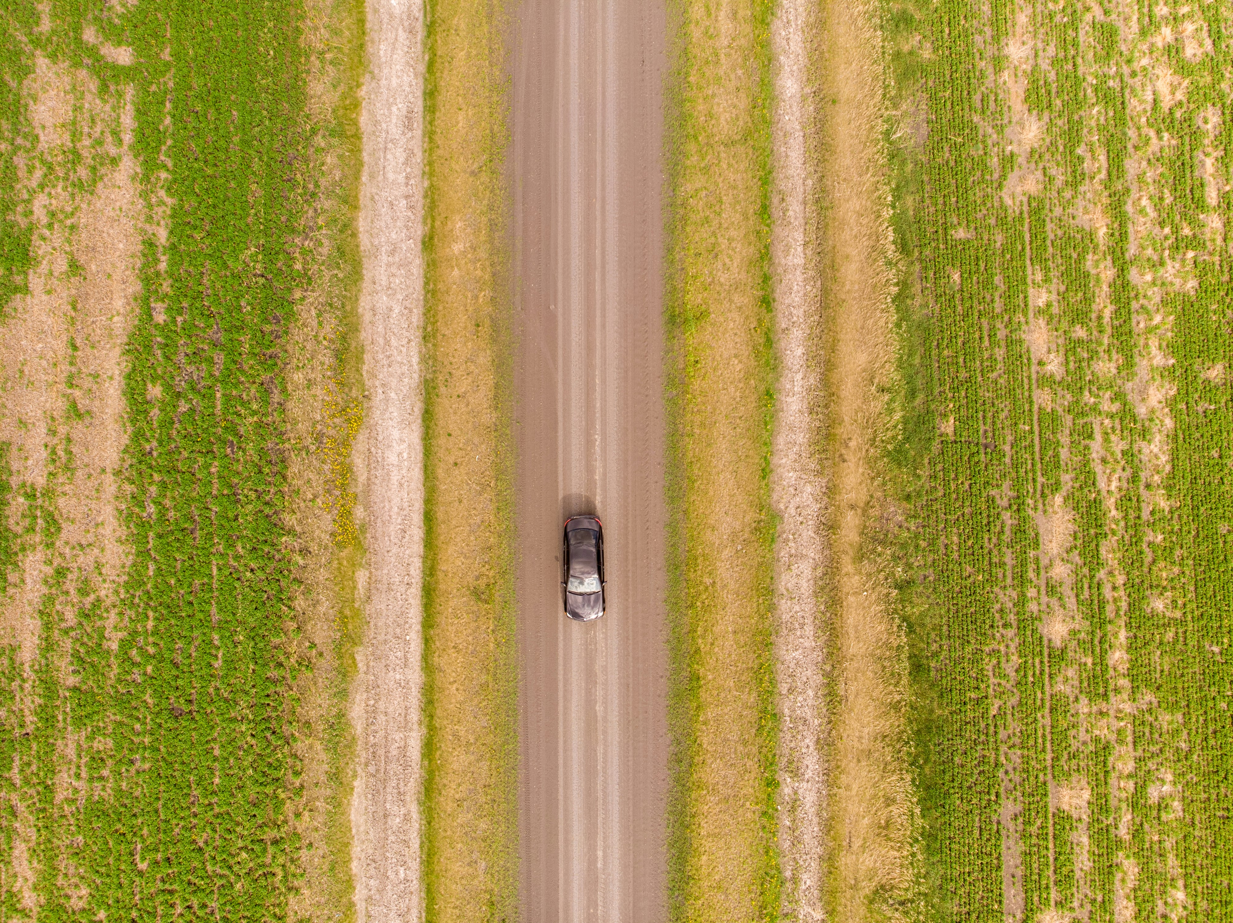 Car on a dirt road with farmers fields