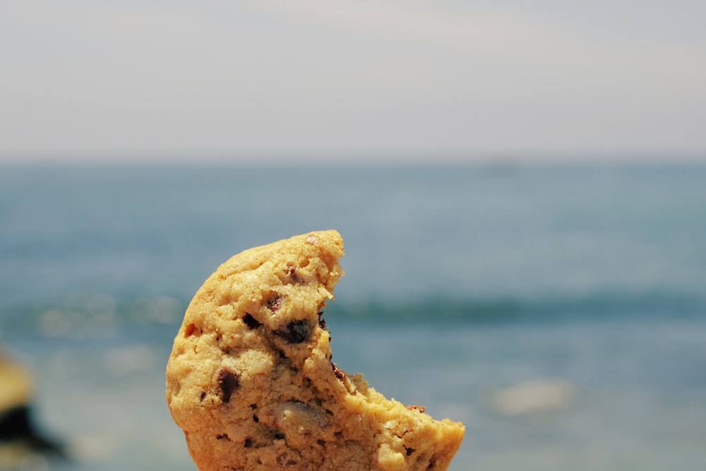 昼間の青い海に浮かぶ茶色いパン