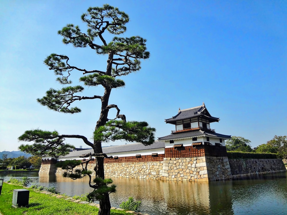 brown and black house near green trees and river during daytime