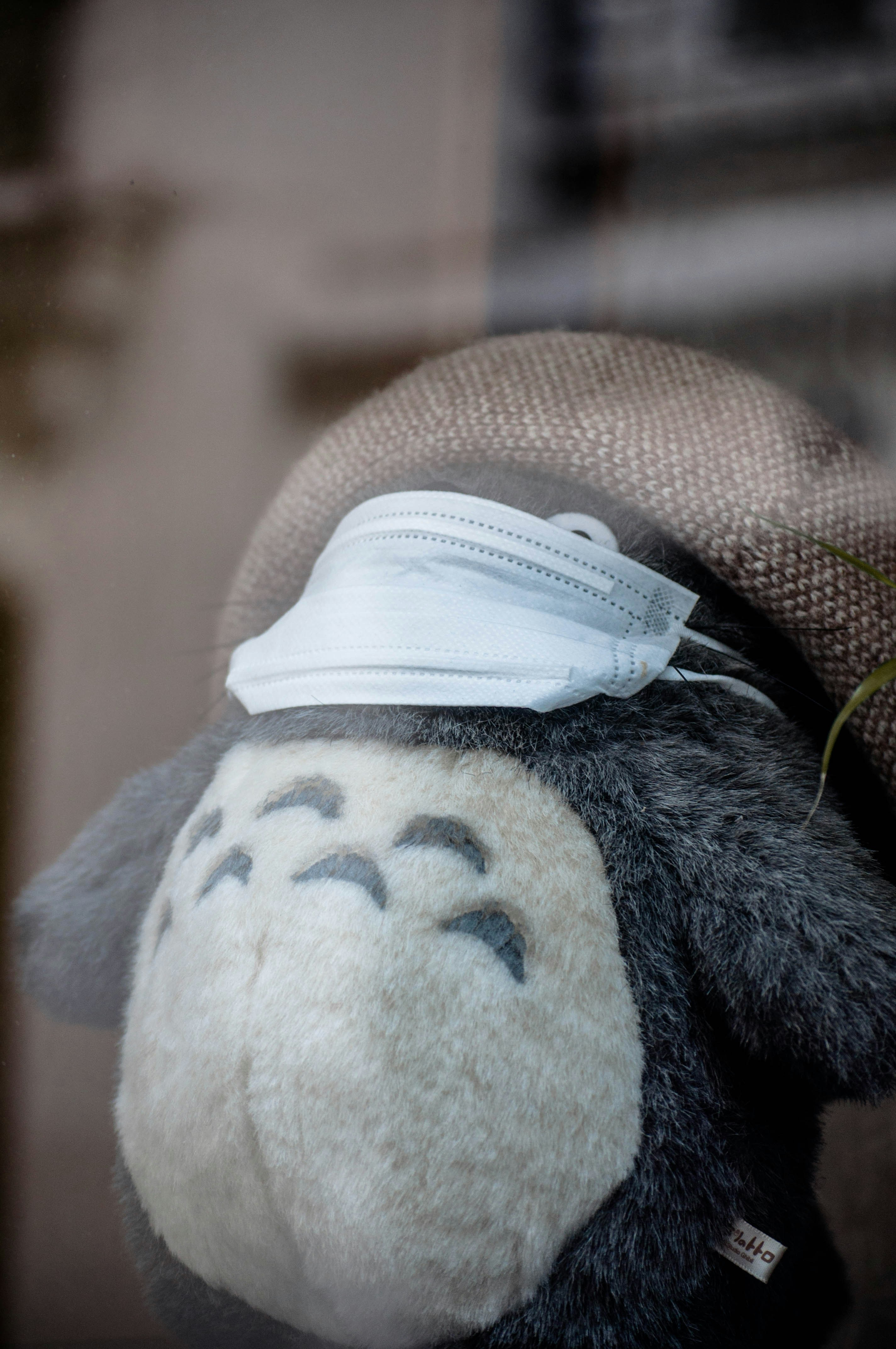 blue and white bear plush toy