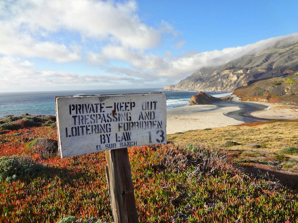 white and black wooden signage near body of water during daytime