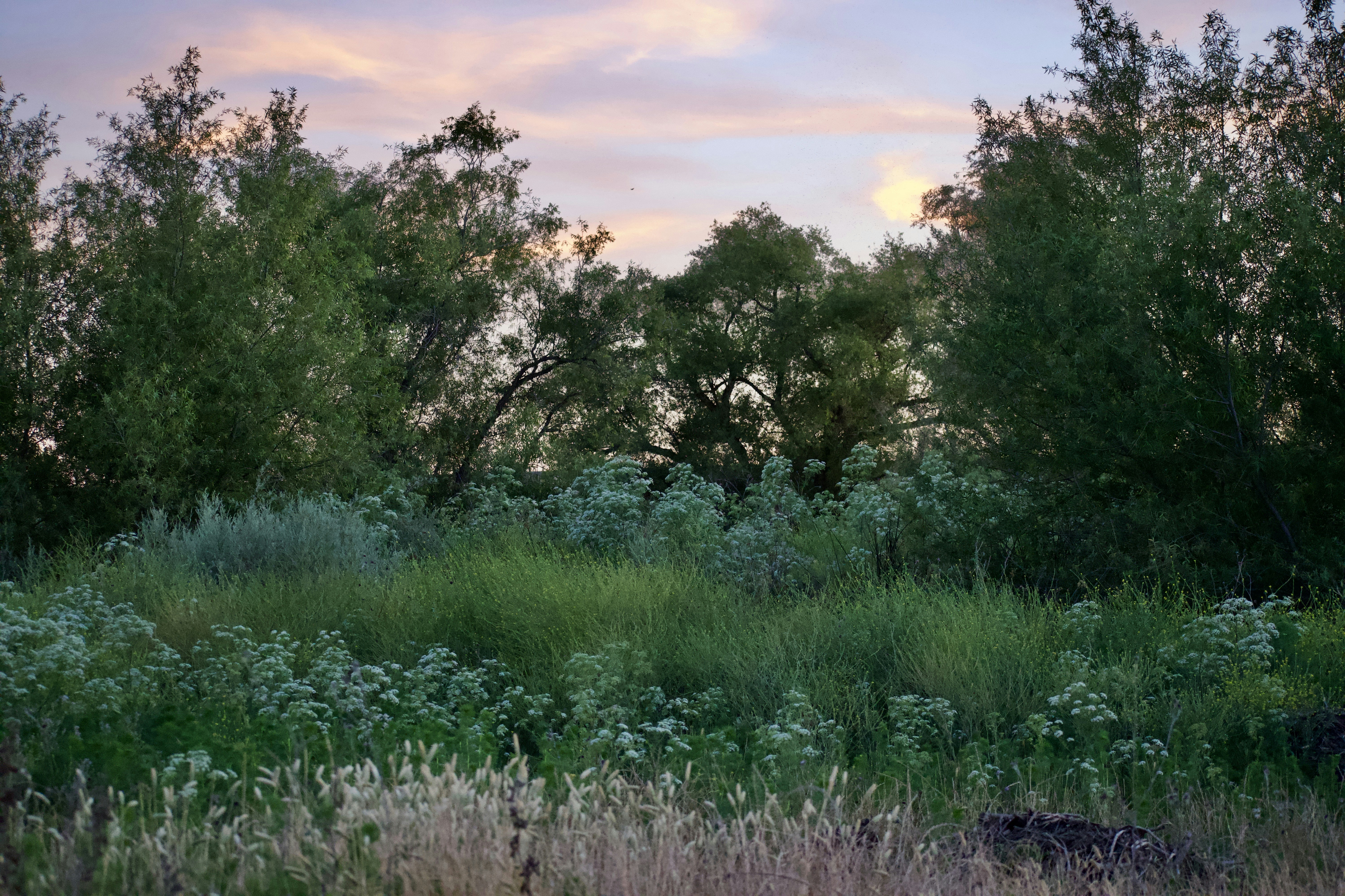 Photo by elisastonephotography