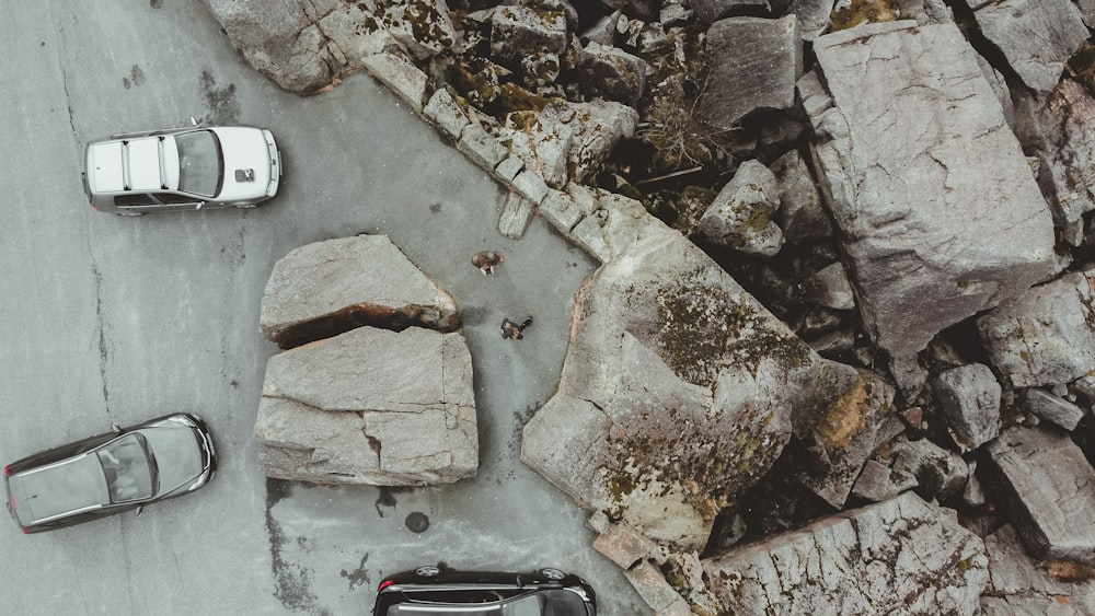 white and black car on gray concrete floor