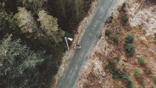 photo of Rogaland Bungee jumping near Borestranda