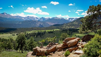 green trees and mountains during daytime
